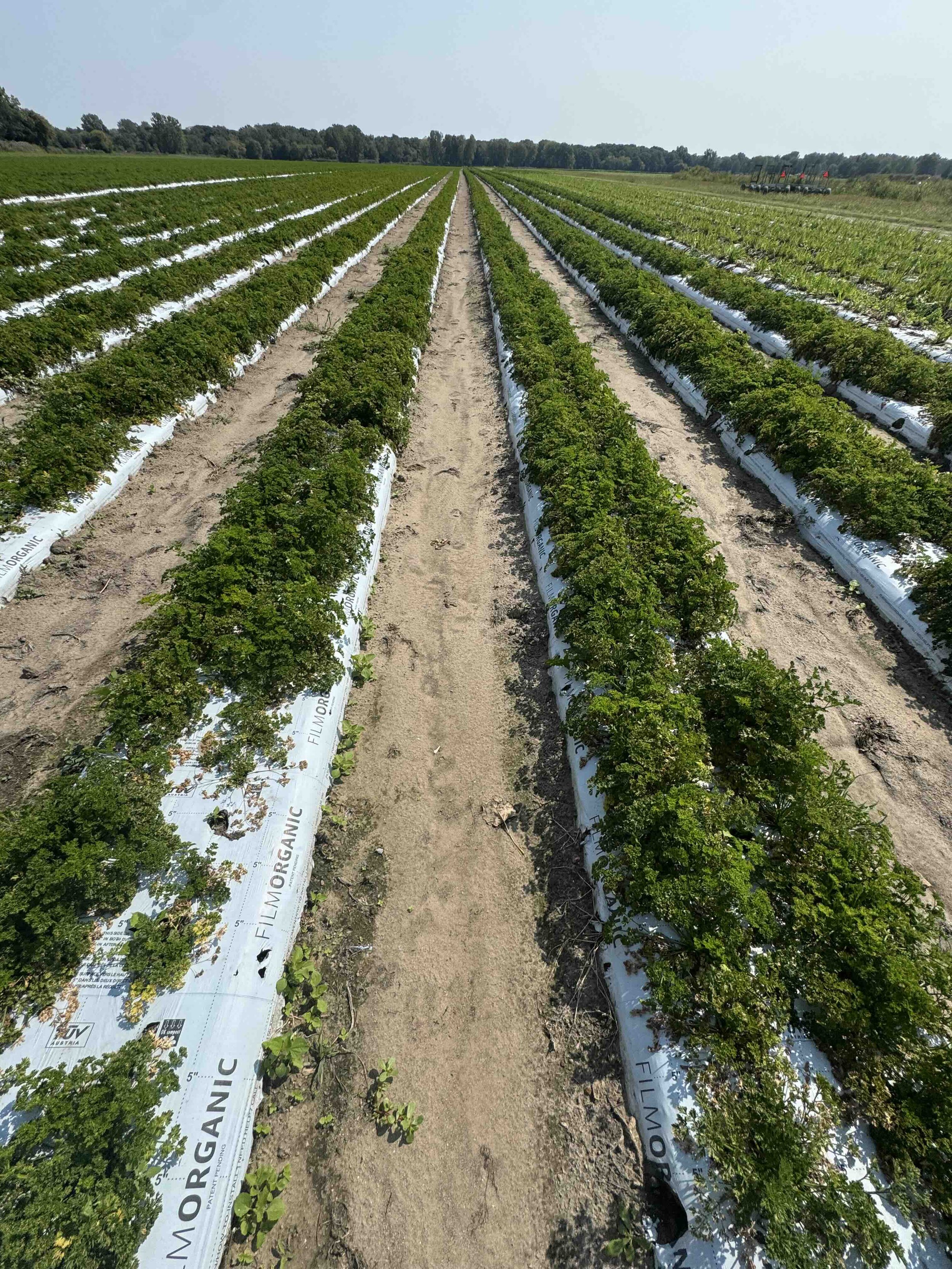 WHAT ACTUALLY CONTROLS DURABILITY