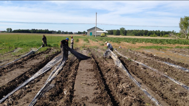 The Shutdown Phase Nobody Plans For</span>