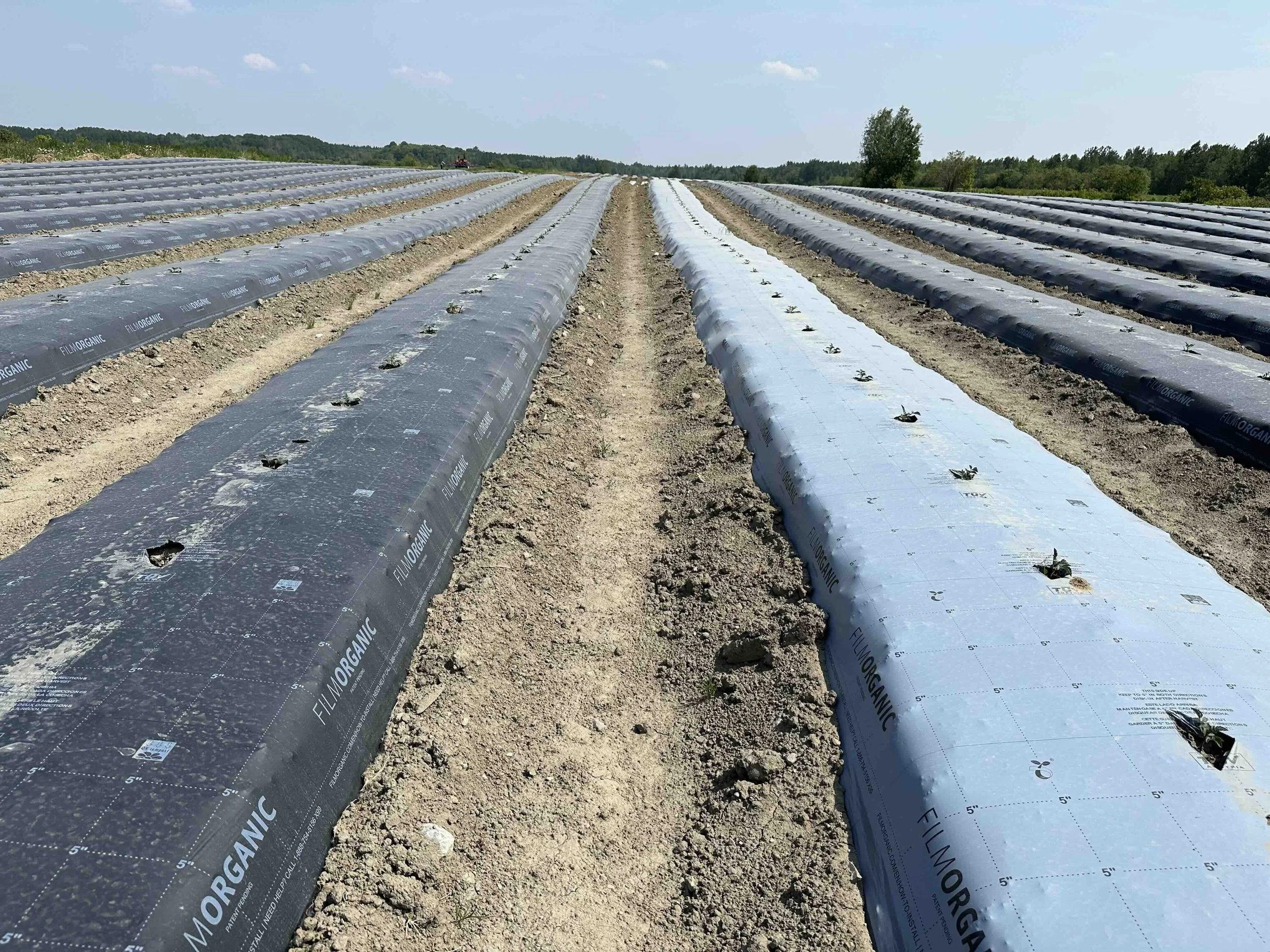 “CoolWhite and black mulch installed side by side. Both laid clean with standard equipment — no adjustments needed.”