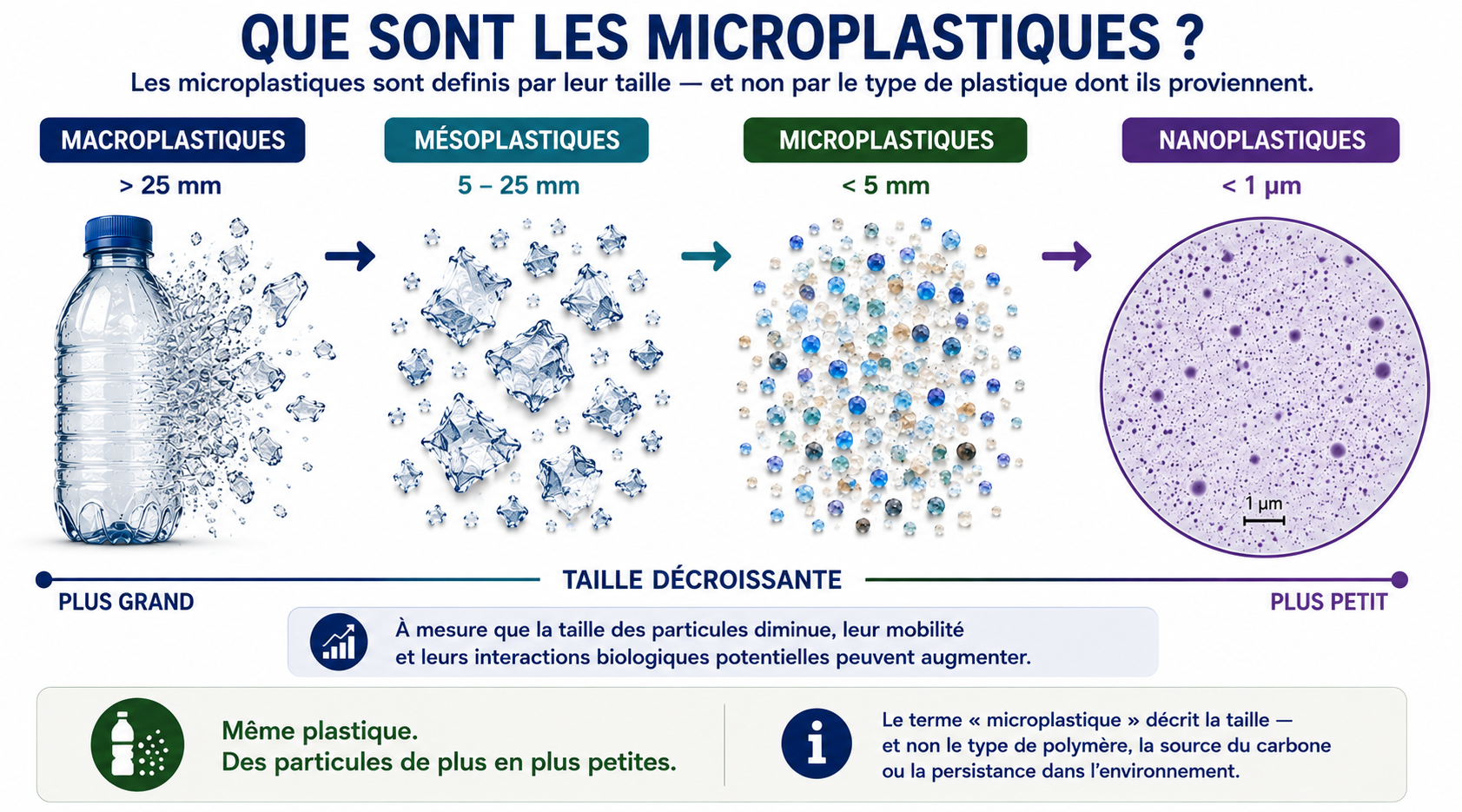 Que sont les microplastiques ? Classification des particules de plastique par taille décroissante, des macroplastiques aux nanoplastiques.