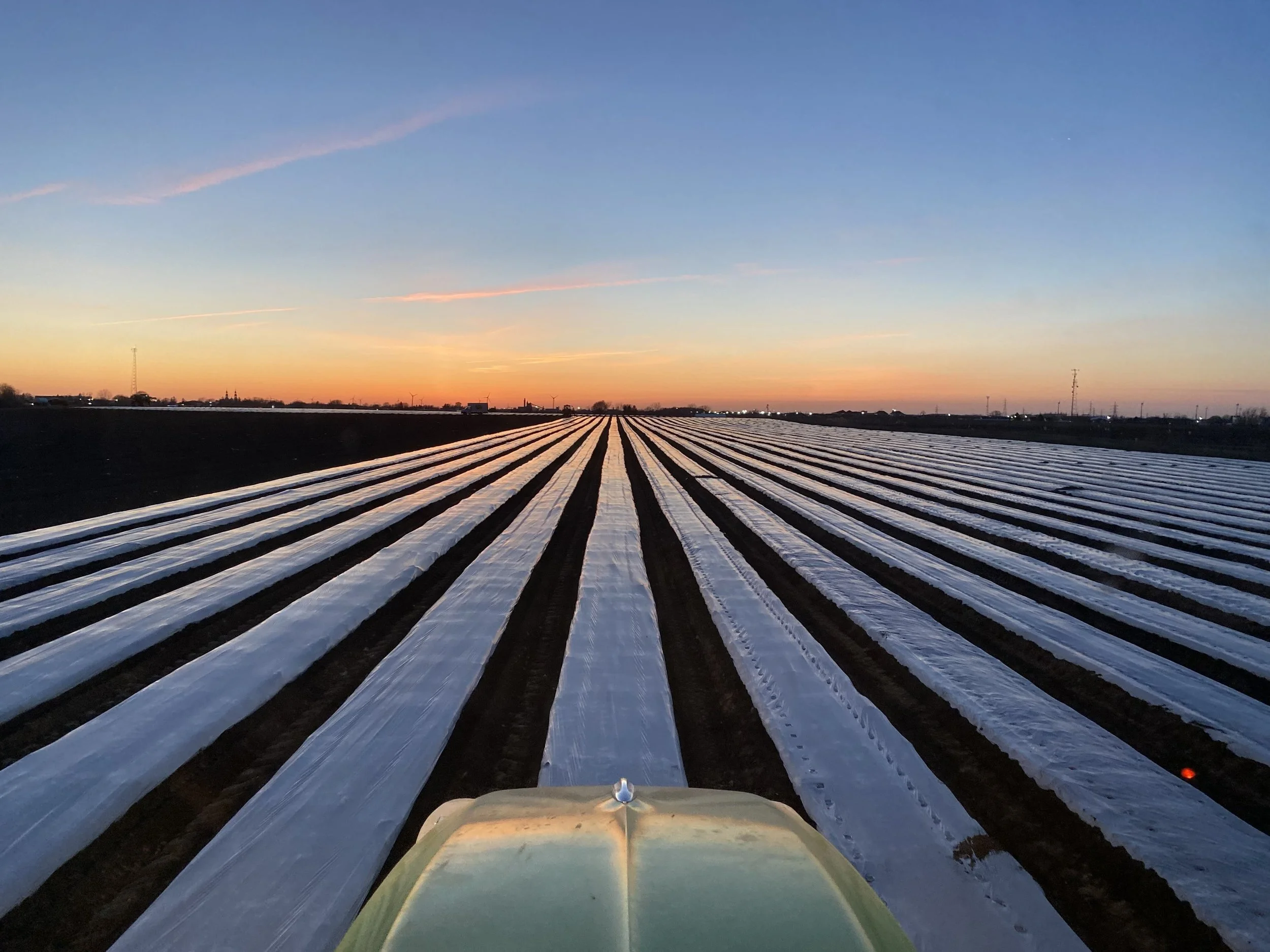 “Clear #23 laid for sweet corn. Early soil warming, clean emergence, and no plastic left behind.”