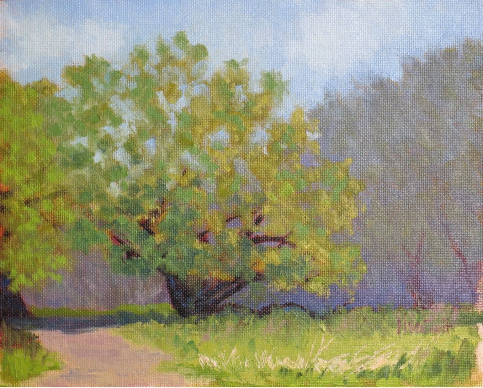 Spring Awakening 8 x 10  inches - Custom Framed Oil Painting on Panel