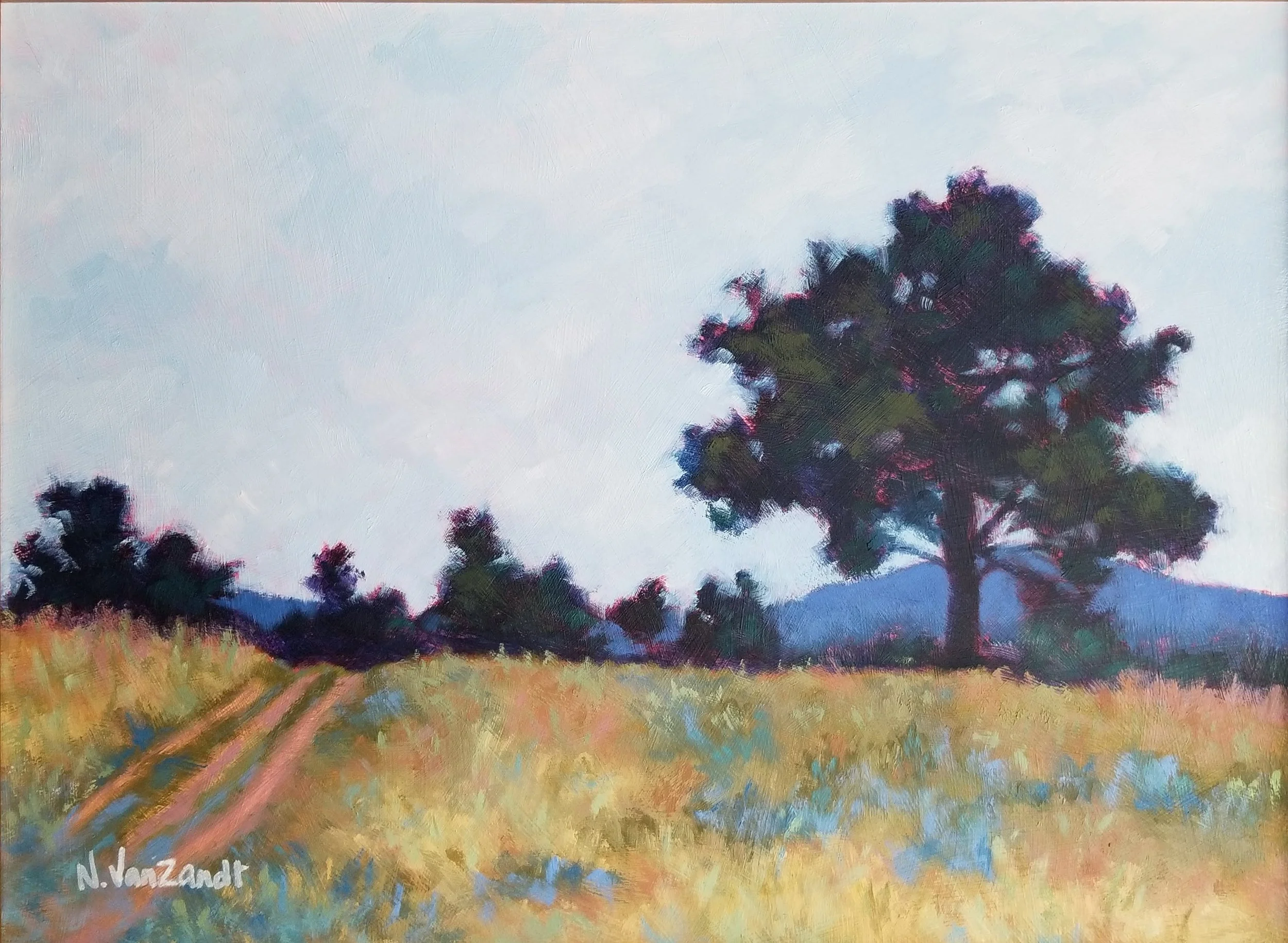 Meadow View
12 x 16 inches - Custom Framed Oil Painting on Panel
