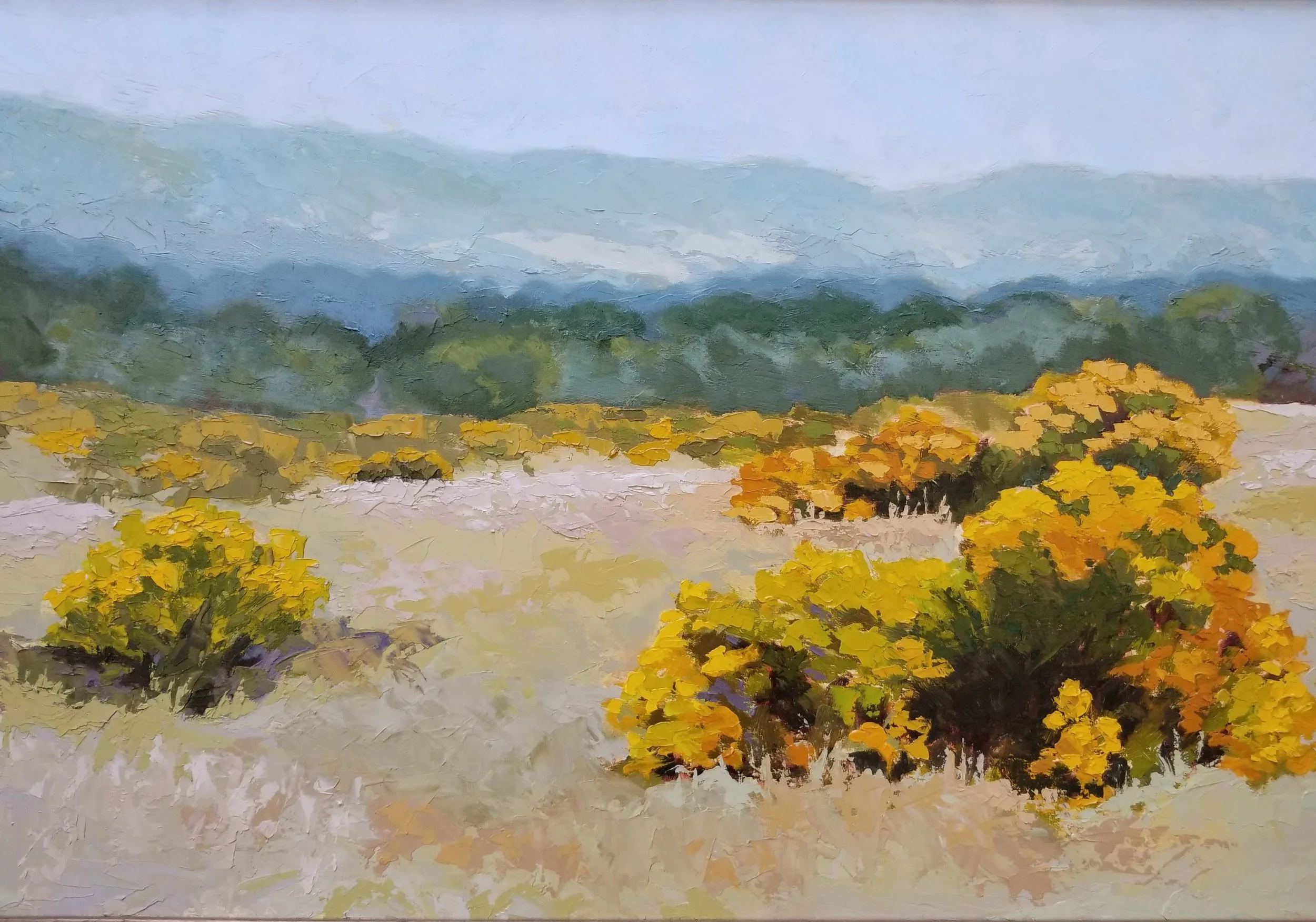 Rabbit Brush at Cherry Creek Reservoir
14 x 24 inches - Custom Framed Oil Painting on Panel