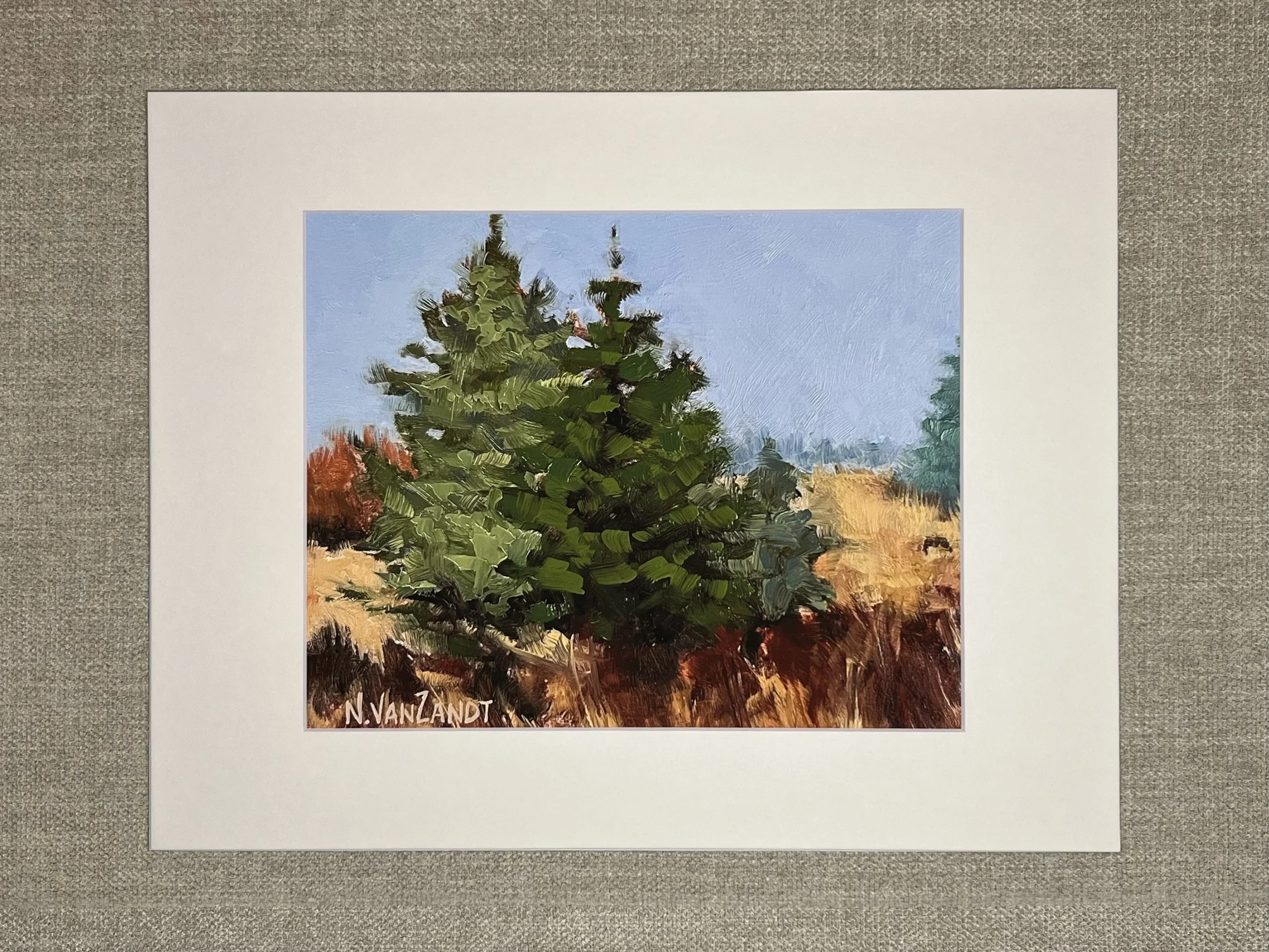 Evergreen Trees Prints