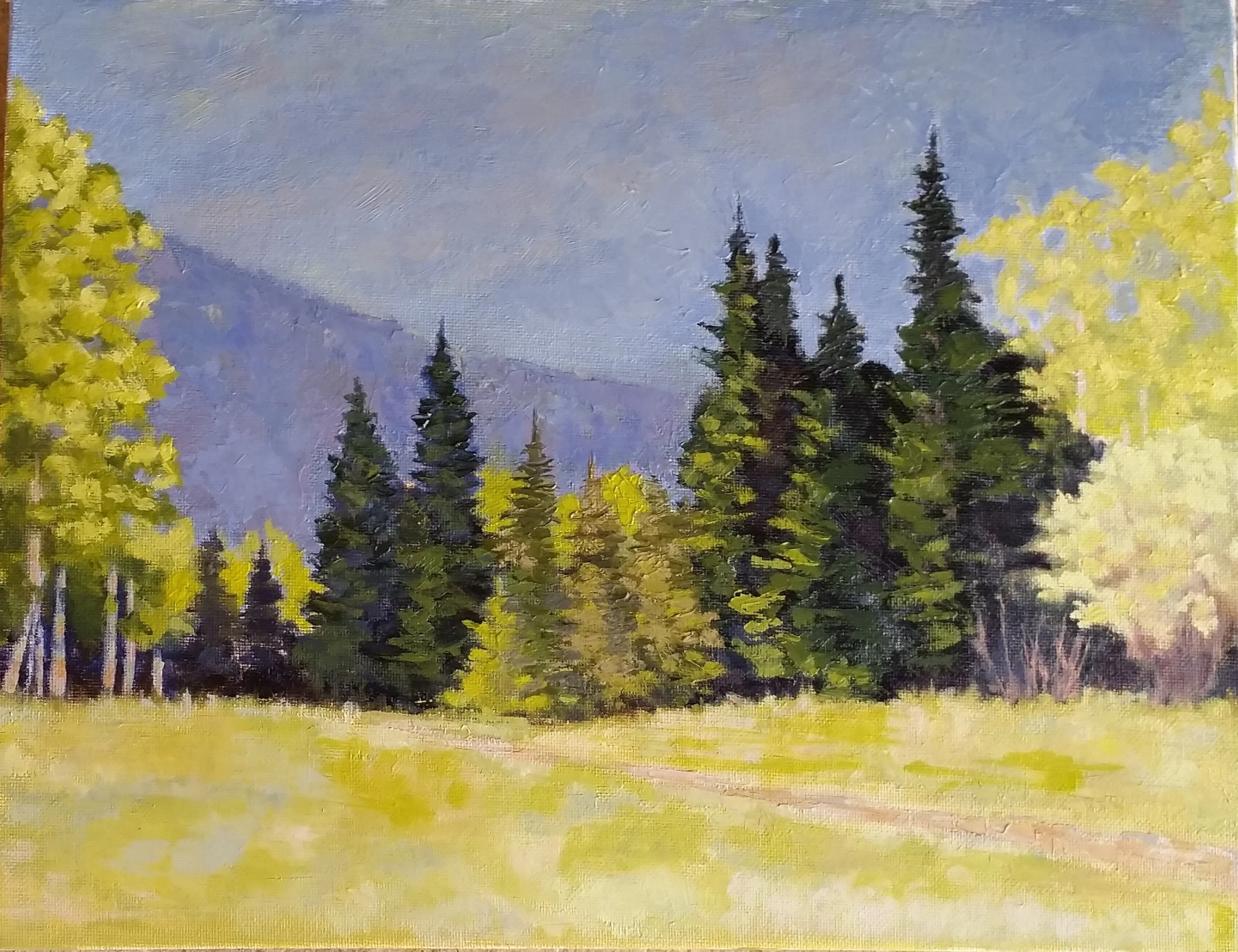 Beaver Brook 
11 x 14 inches - Custom framed Oil Painting on Canvas 