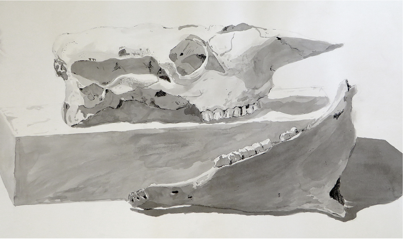 Screenshot 2024-06-05 at 10.54.56 AM.png