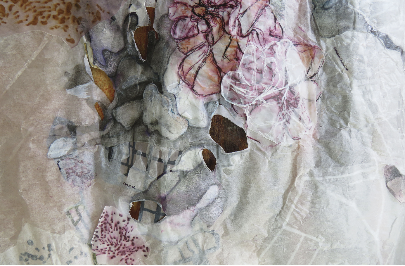 Screenshot 2024-06-05 at 10.54.48 AM.png