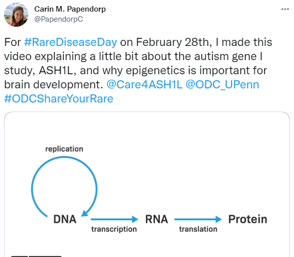 Carin Papendorp - Brown University