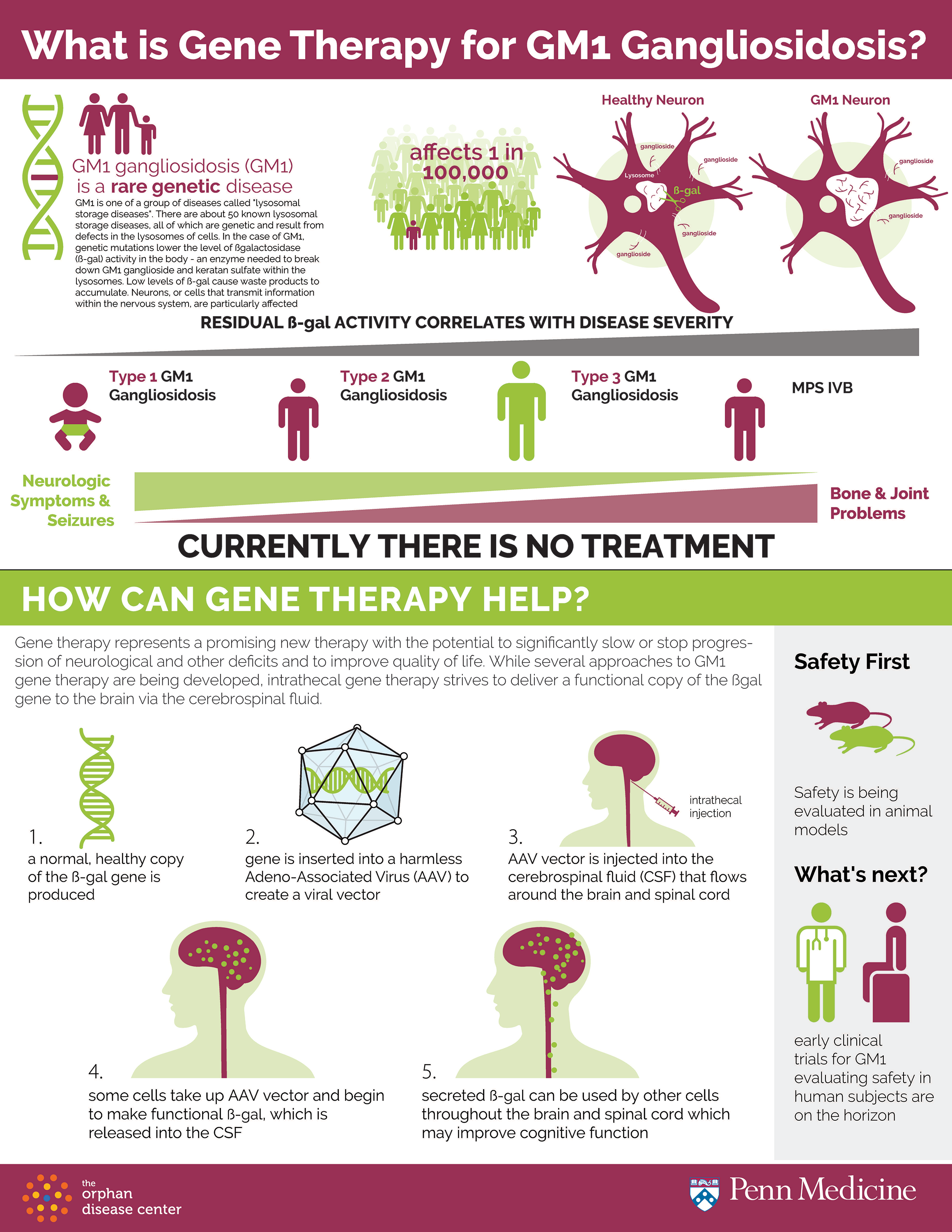 GM1 Infographic_FINAL_10Sep19.png