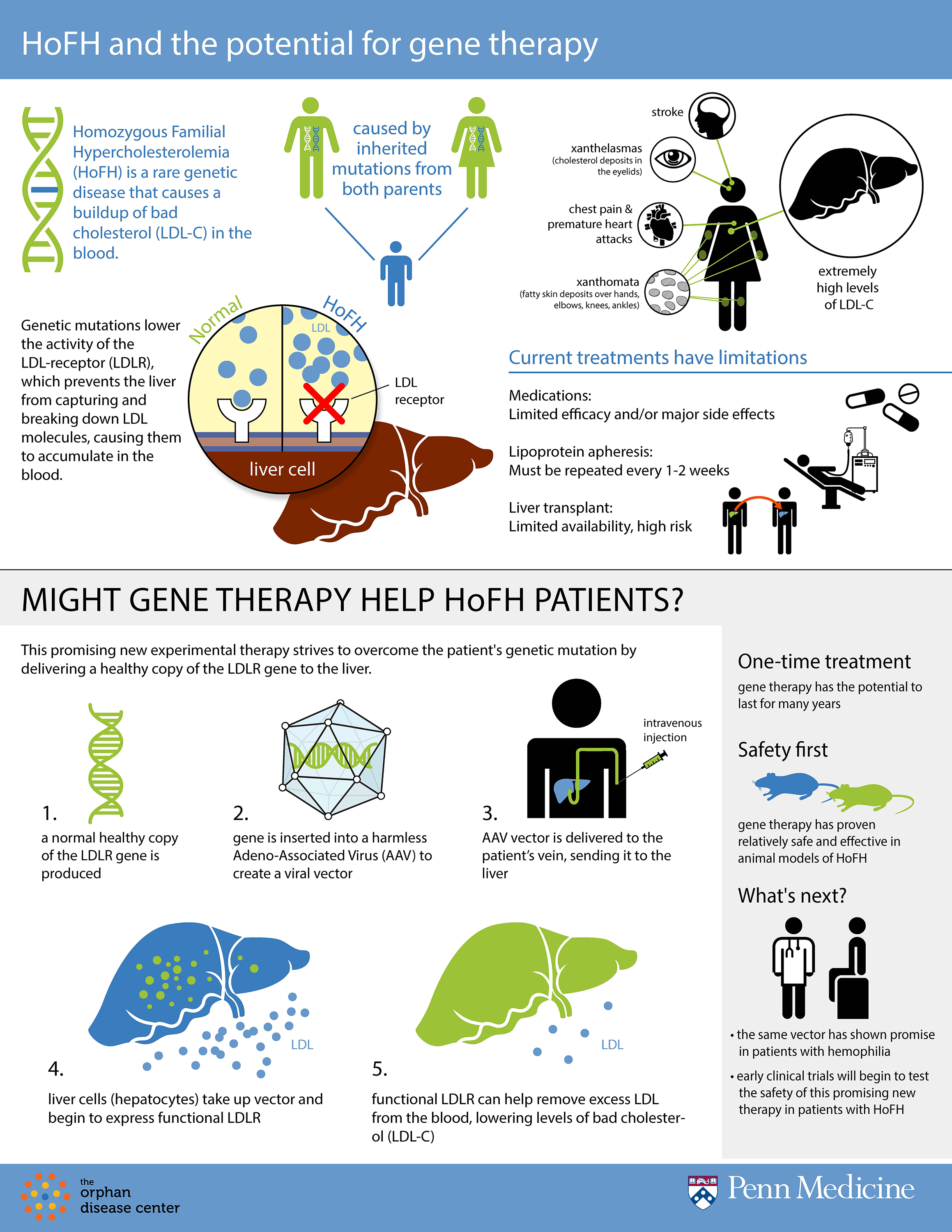 HoFH Infographic FINAL 27MAR2018.png