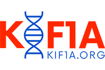 kif1a.png