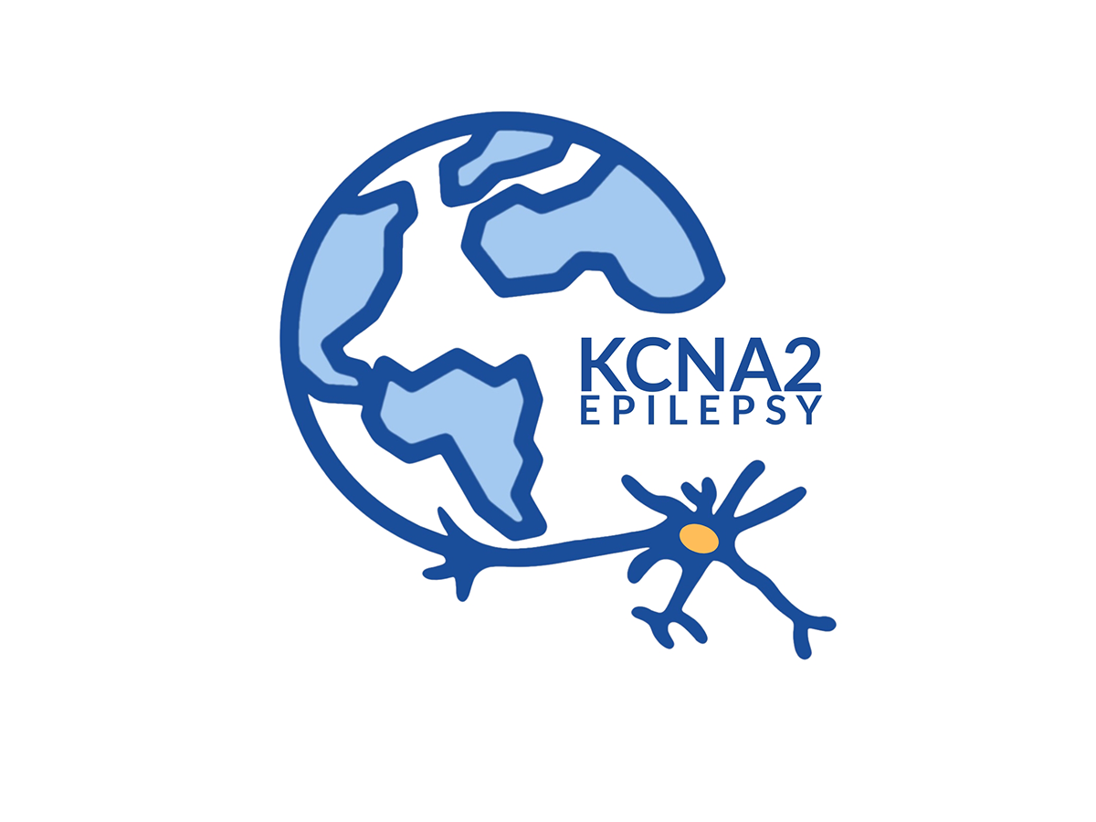 kcn2a.png