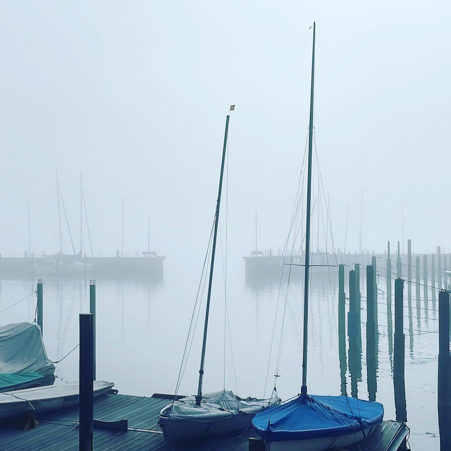 #foggyfall