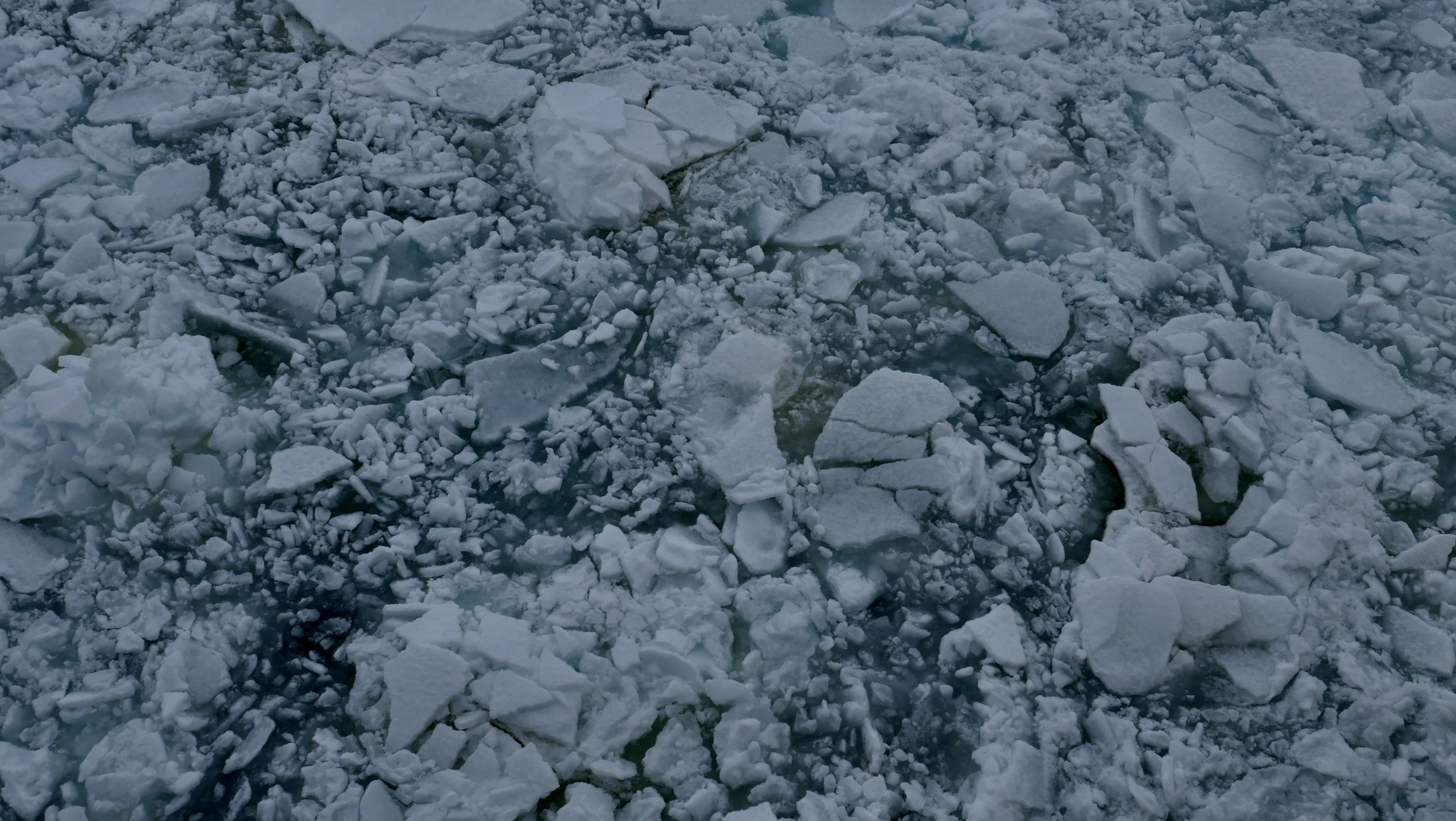L1021822.JPG