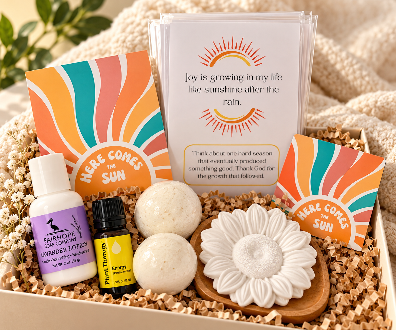 Sunshine Boxes