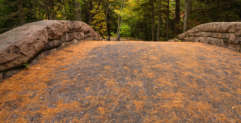 acadia bridge 3.jpeg