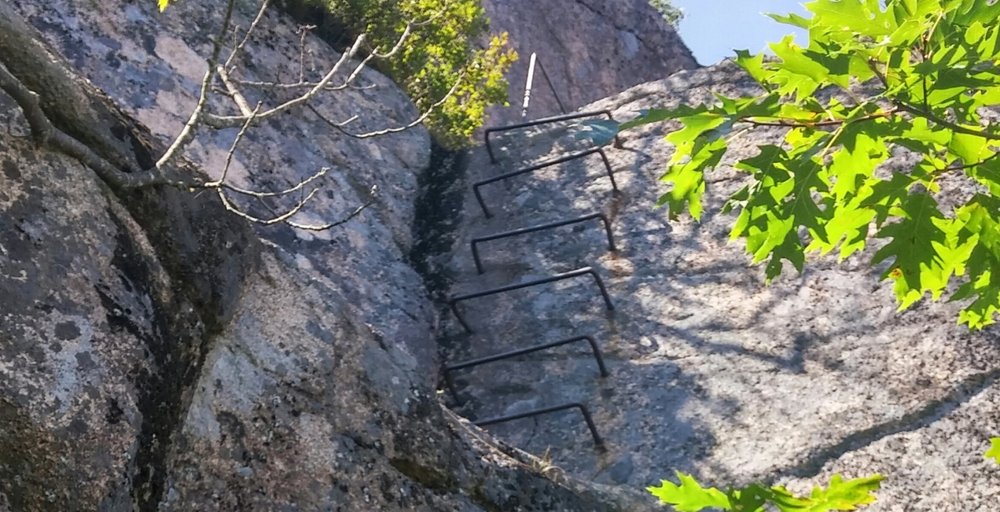 acadia precipice trail rungs.jpeg