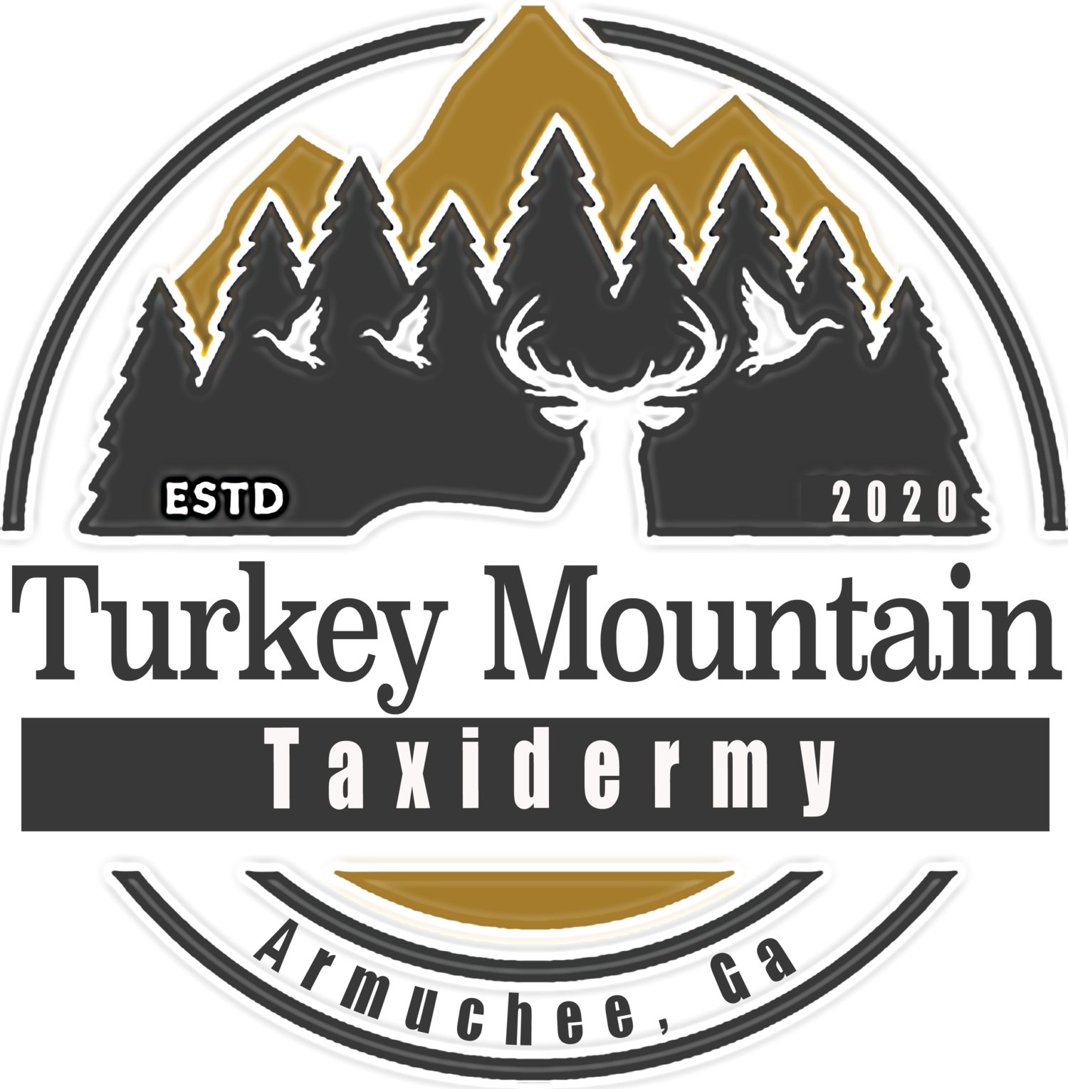 Turkey Mountain Taxidermy