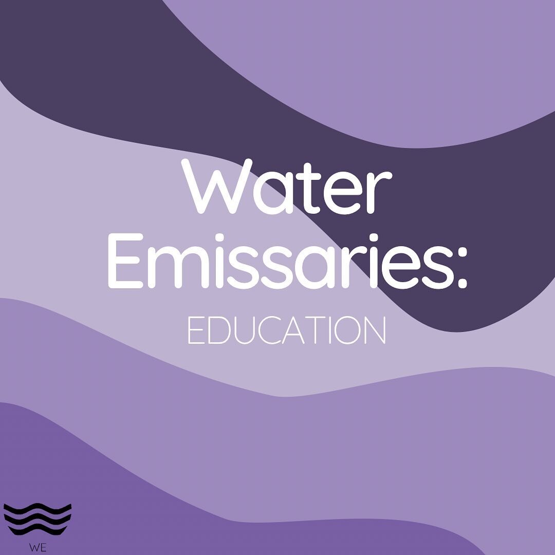 The first part of our programming always starts off with education! No matter your background WE teach you the complexities of the water issue.