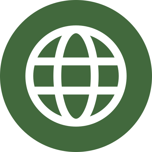 Icon of a globe with latitude and longitude lines inside a green circle.