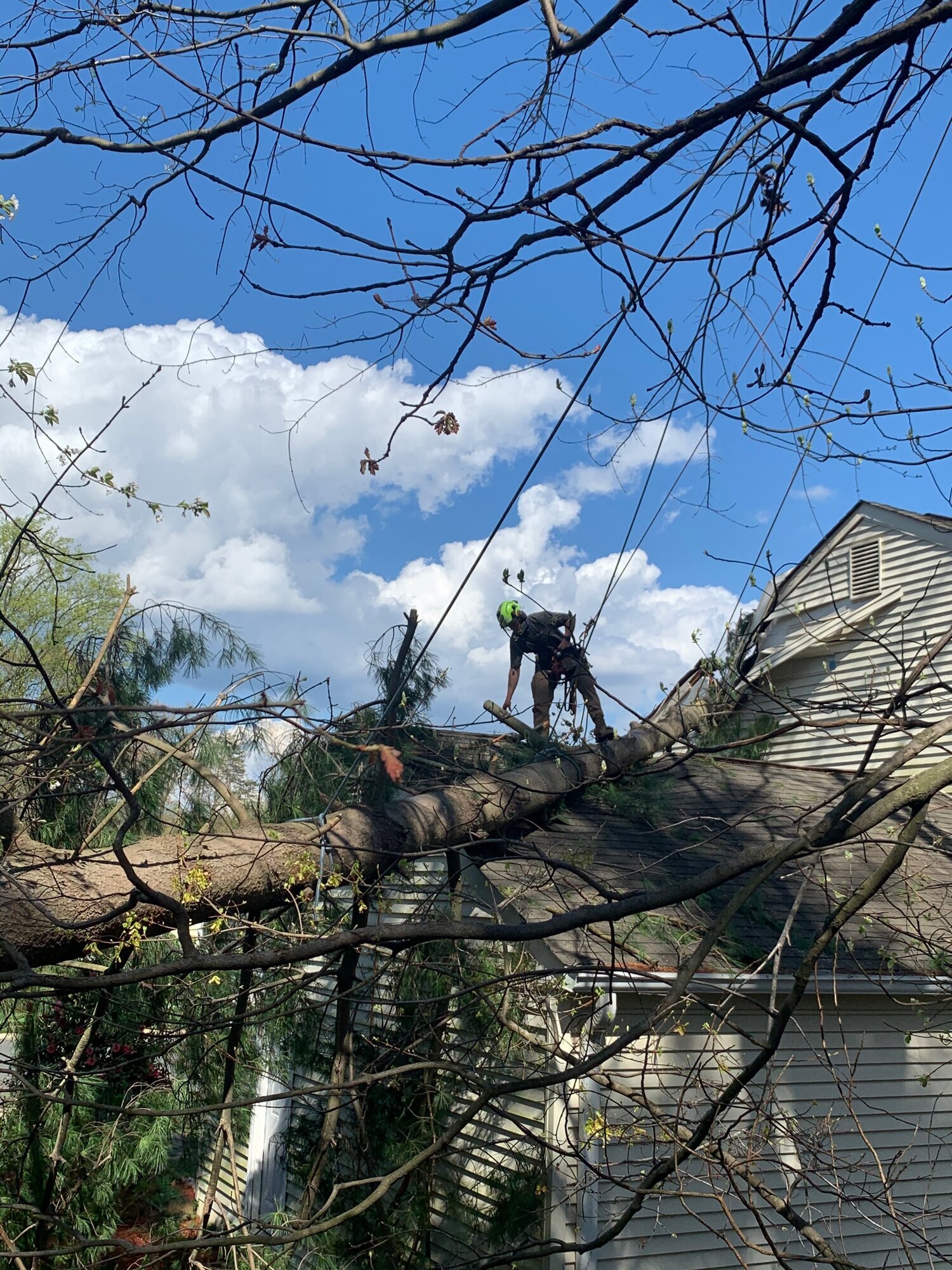 Storm Damage