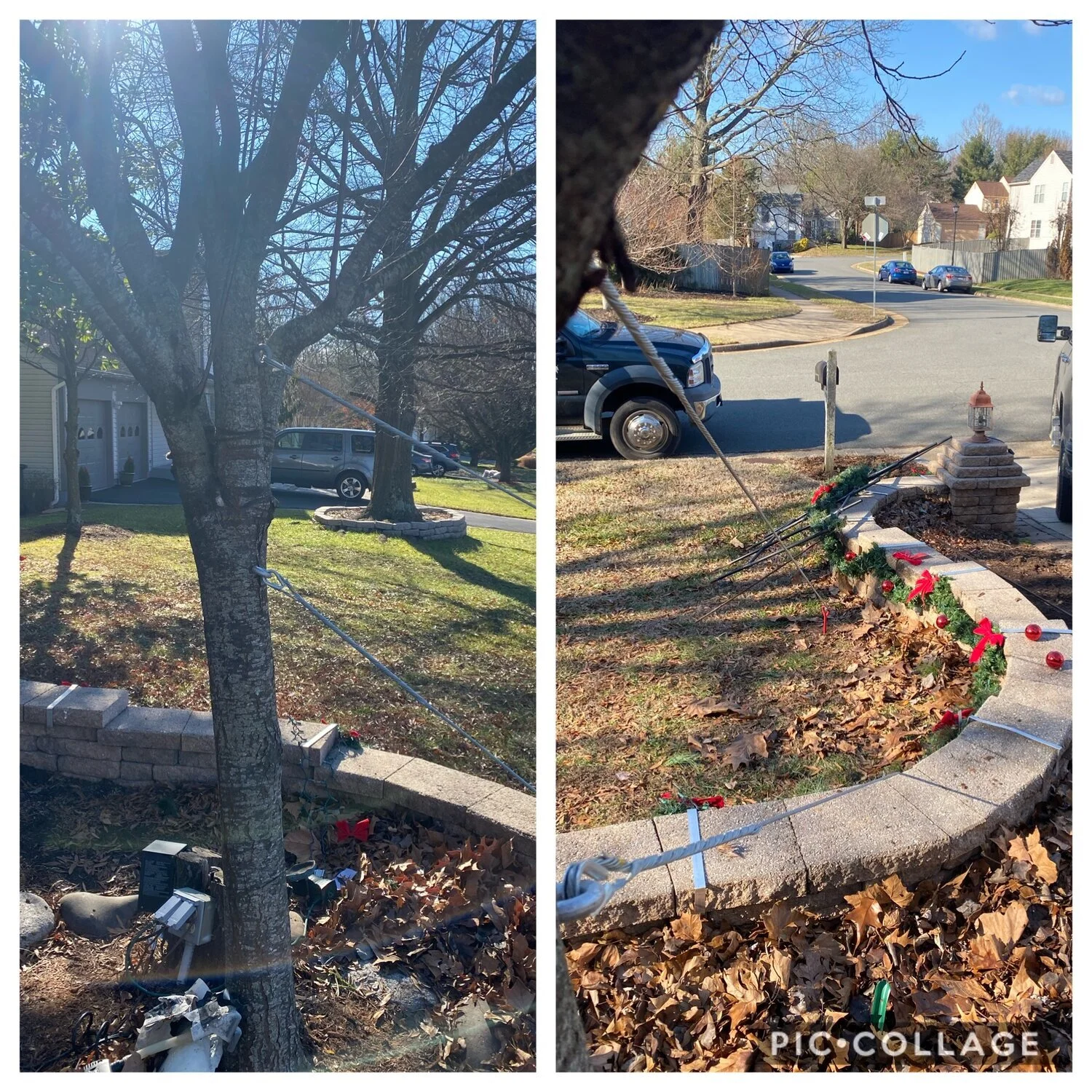 Our second stop of the day was guying this Purple Leaf Plum. Guying is when you install a tree support system with one end in the problem tree and the other end as an anchor. In this application we pulled the tree upright and then installed the cabl…