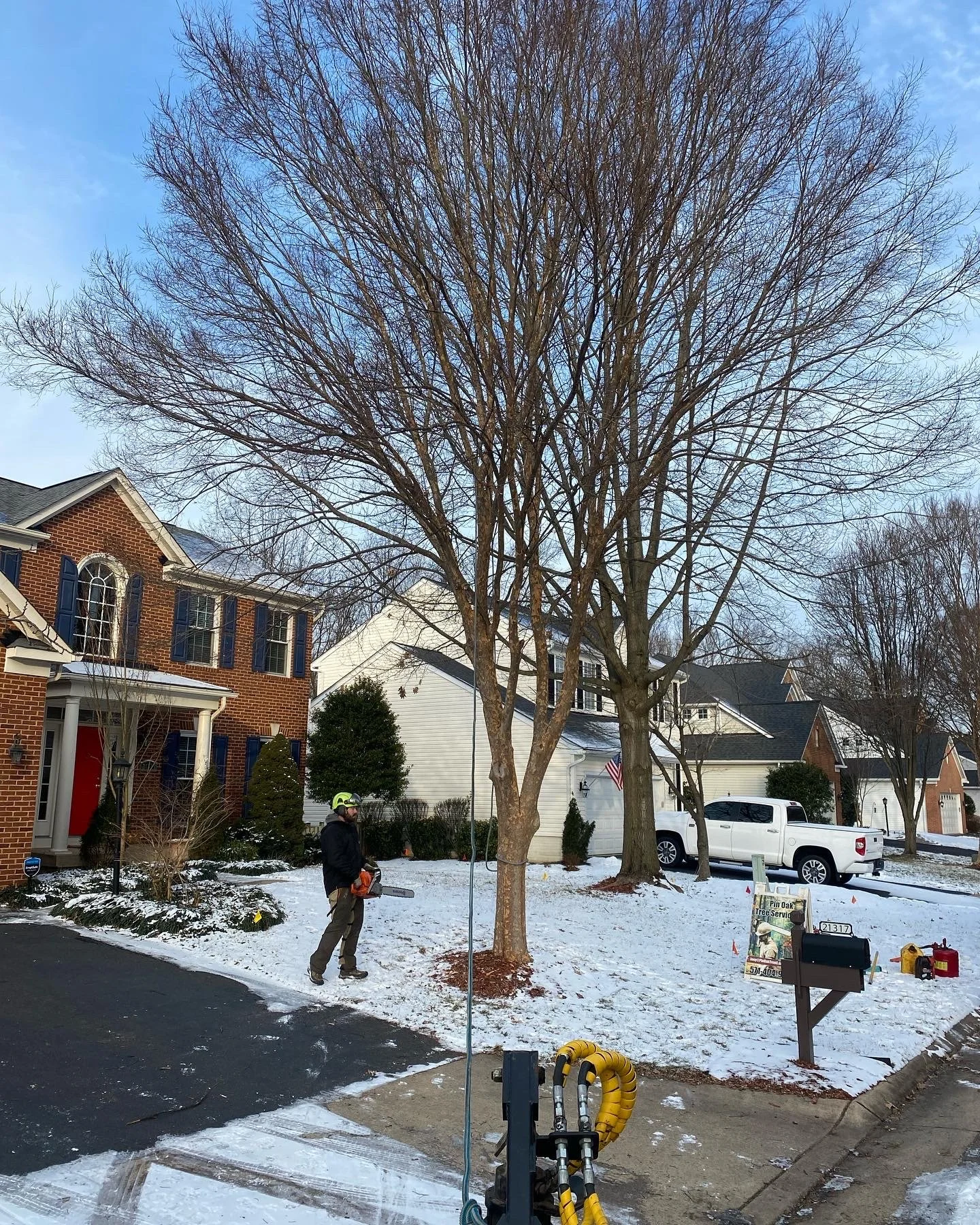 Ashburn Tree Removal