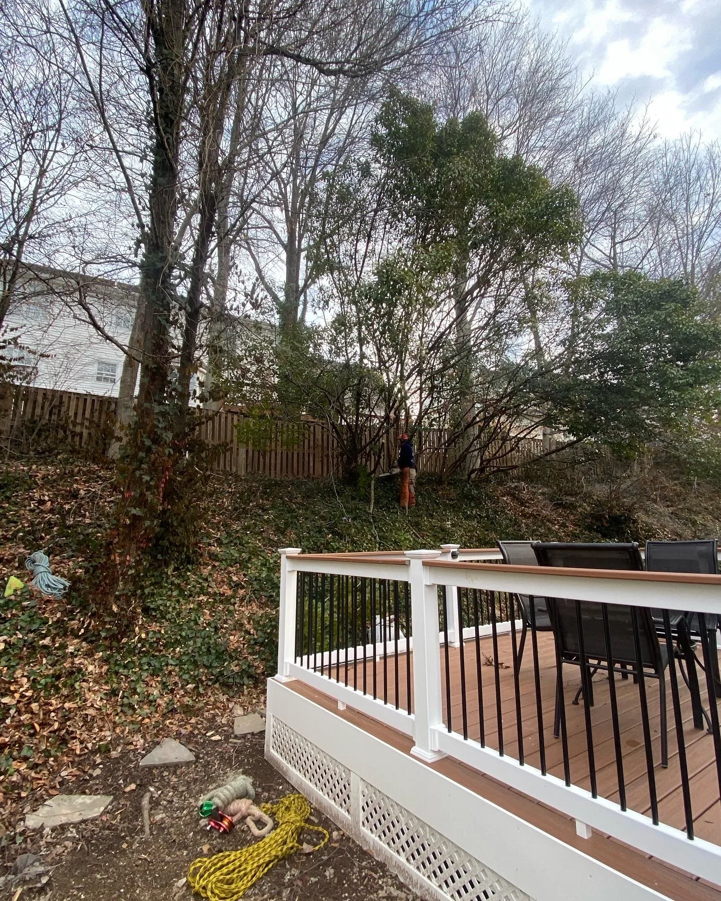 Backyard Improvement