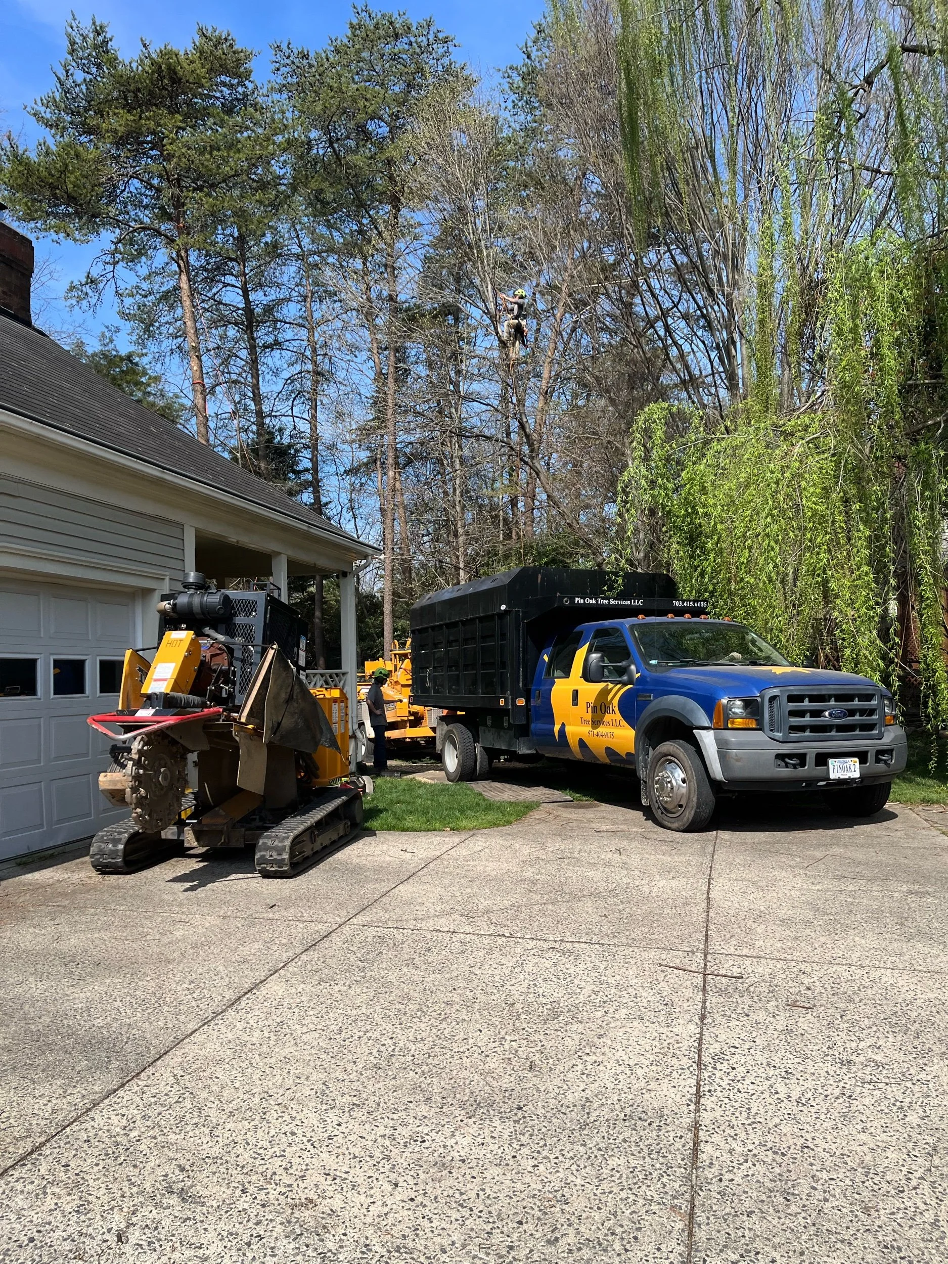 Tree Risk Management