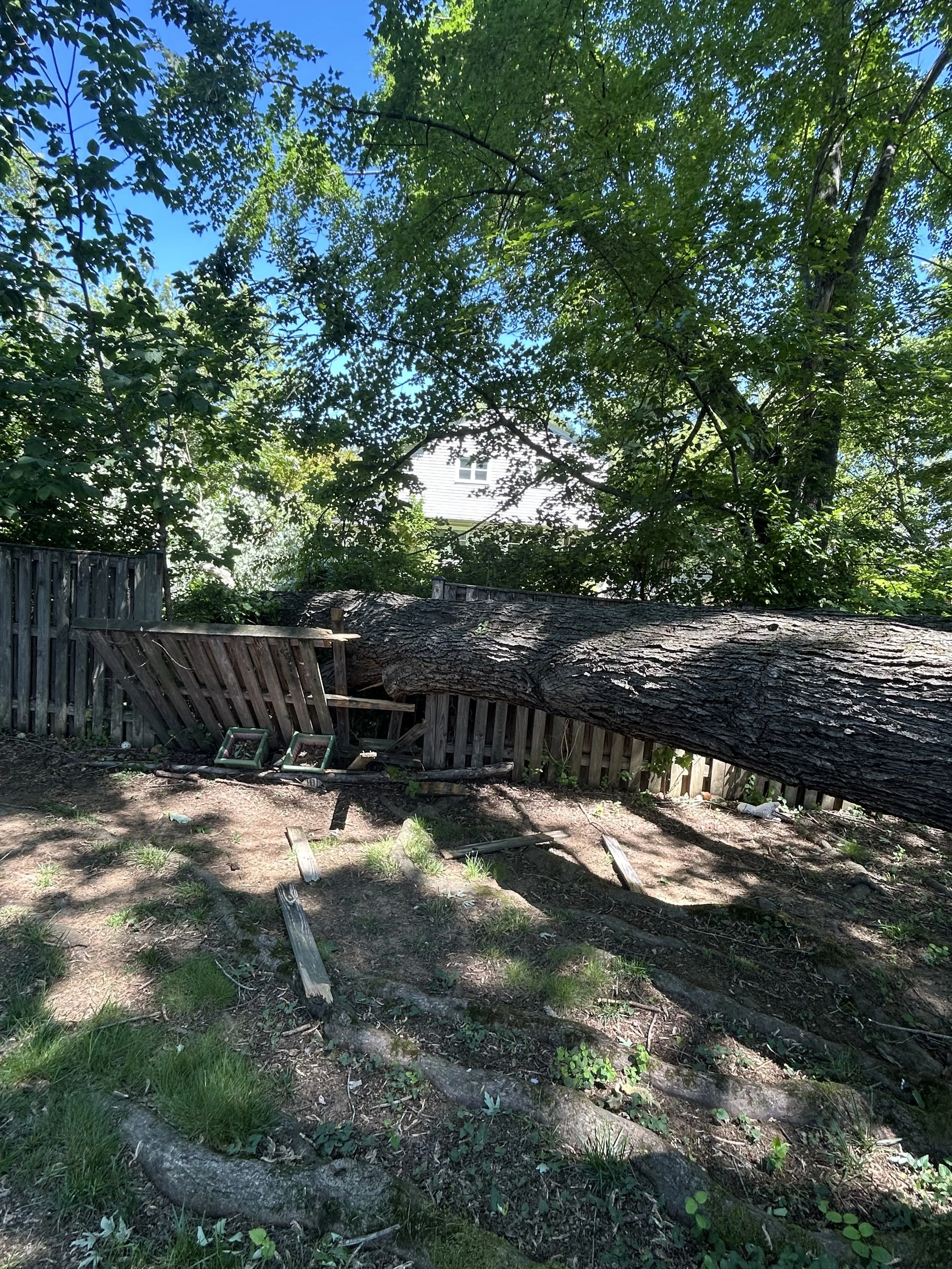 Storm Damage