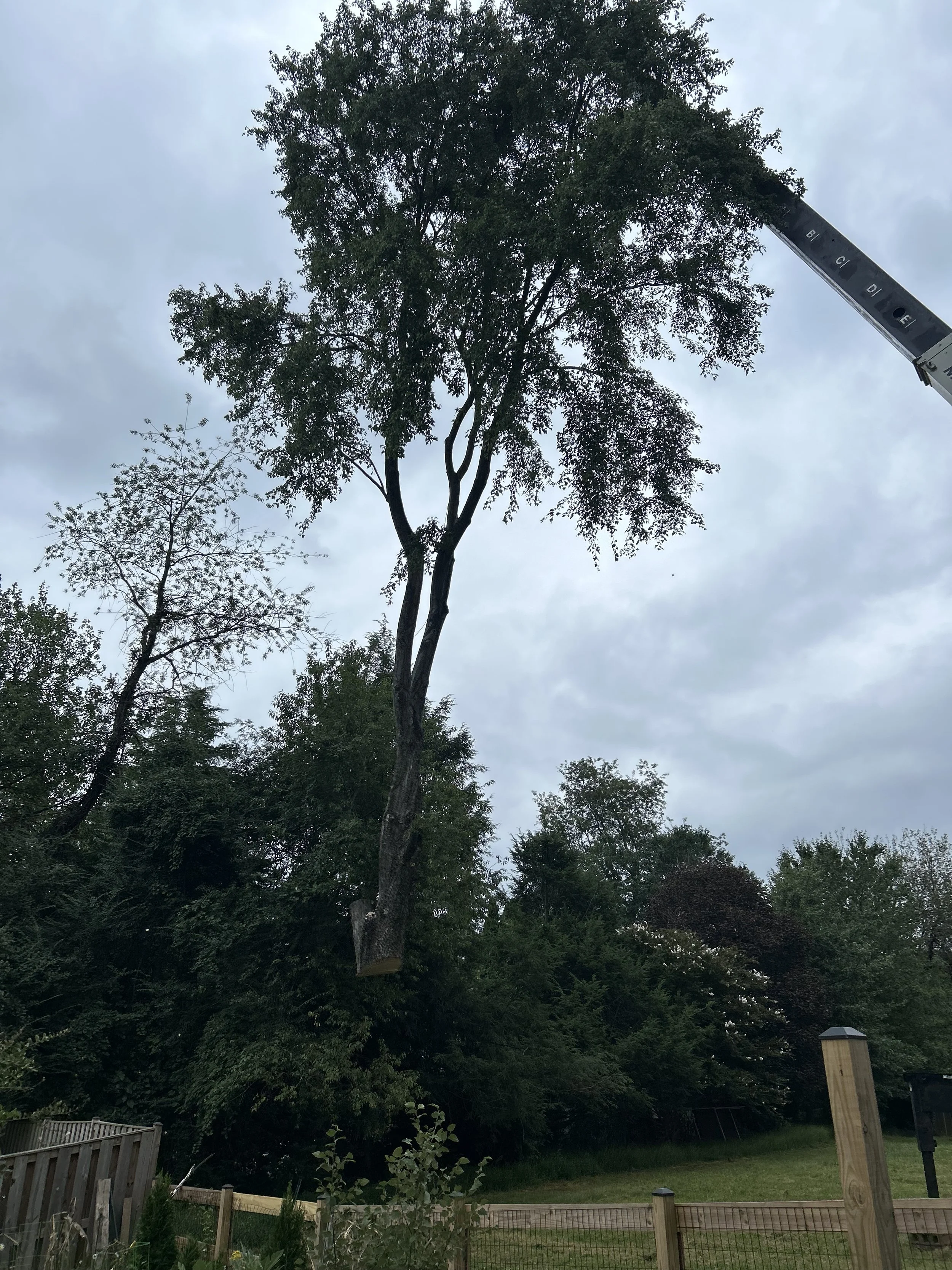 Crane Work