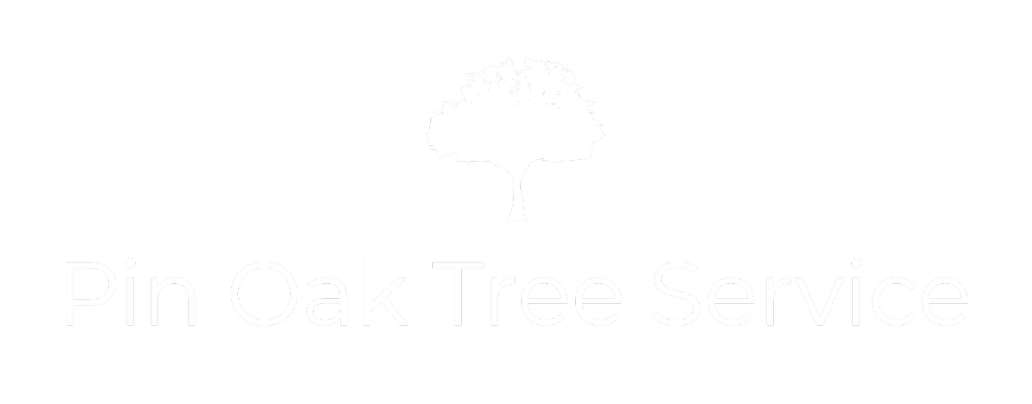 Pin Oak Tree Service