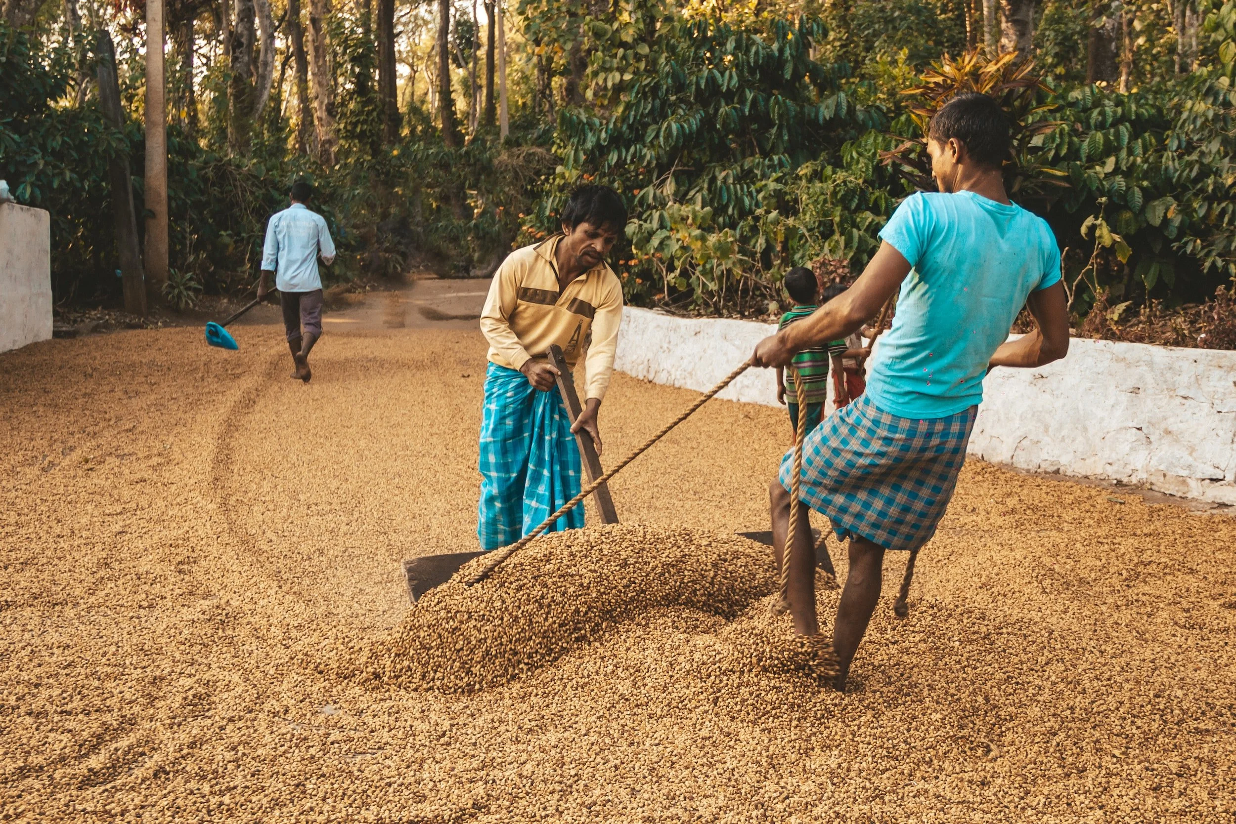 The Coffee Industry and its Economic Impact on Local Communities