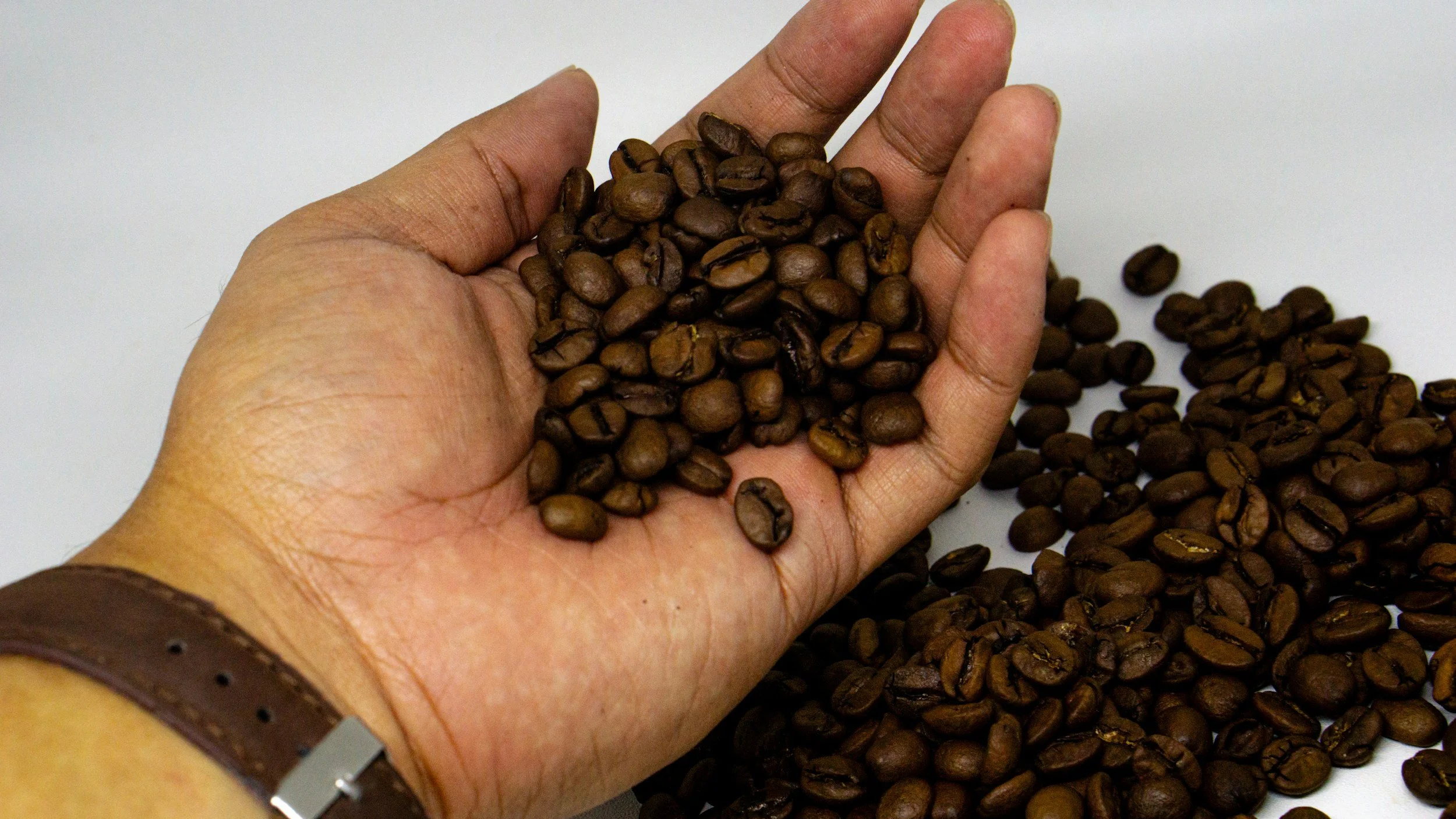 The Coffee Grading Scale: What Every Coffee Lover Should Know