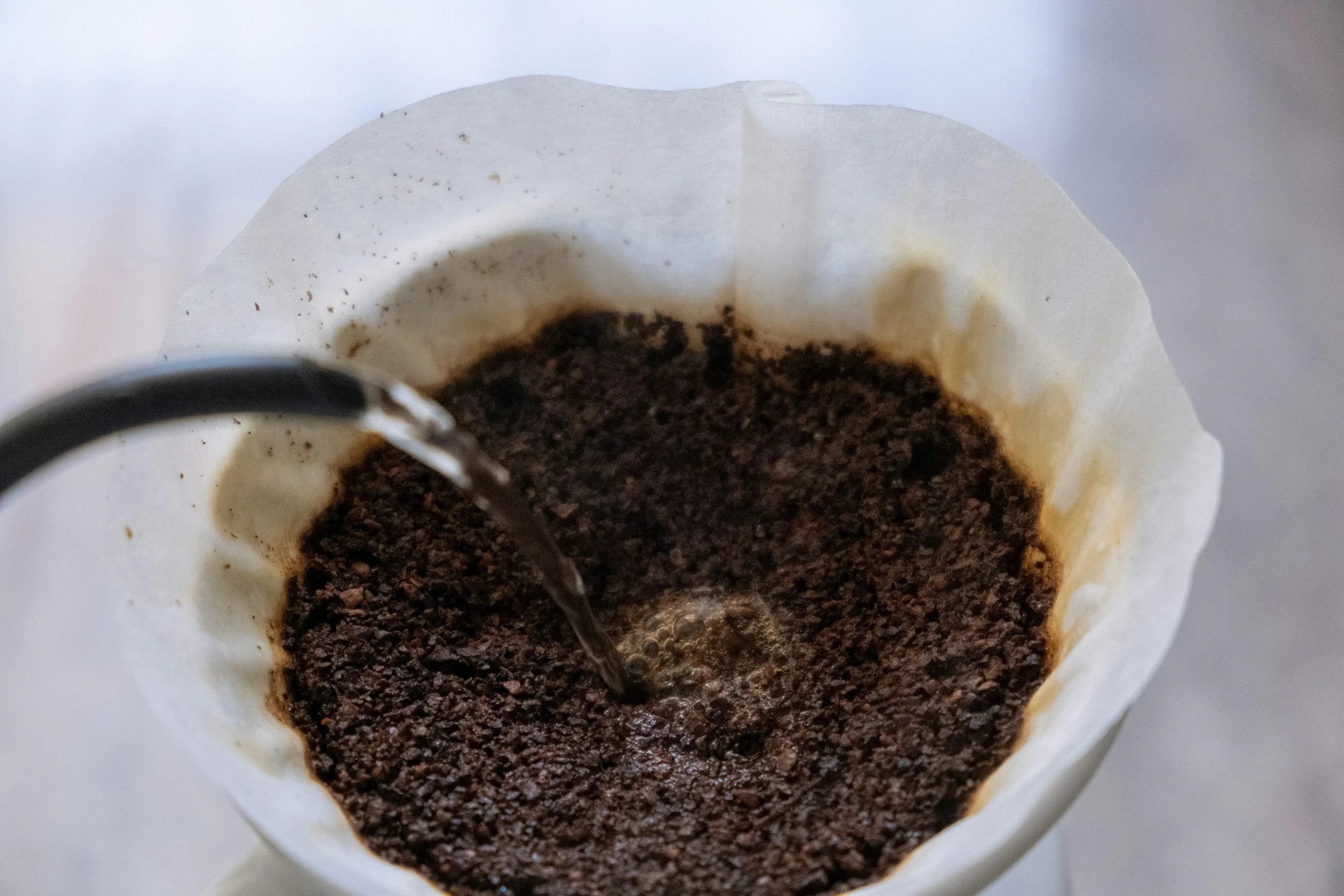 Matching Paper Filters to Roast Profiles: Is It Necessary?
