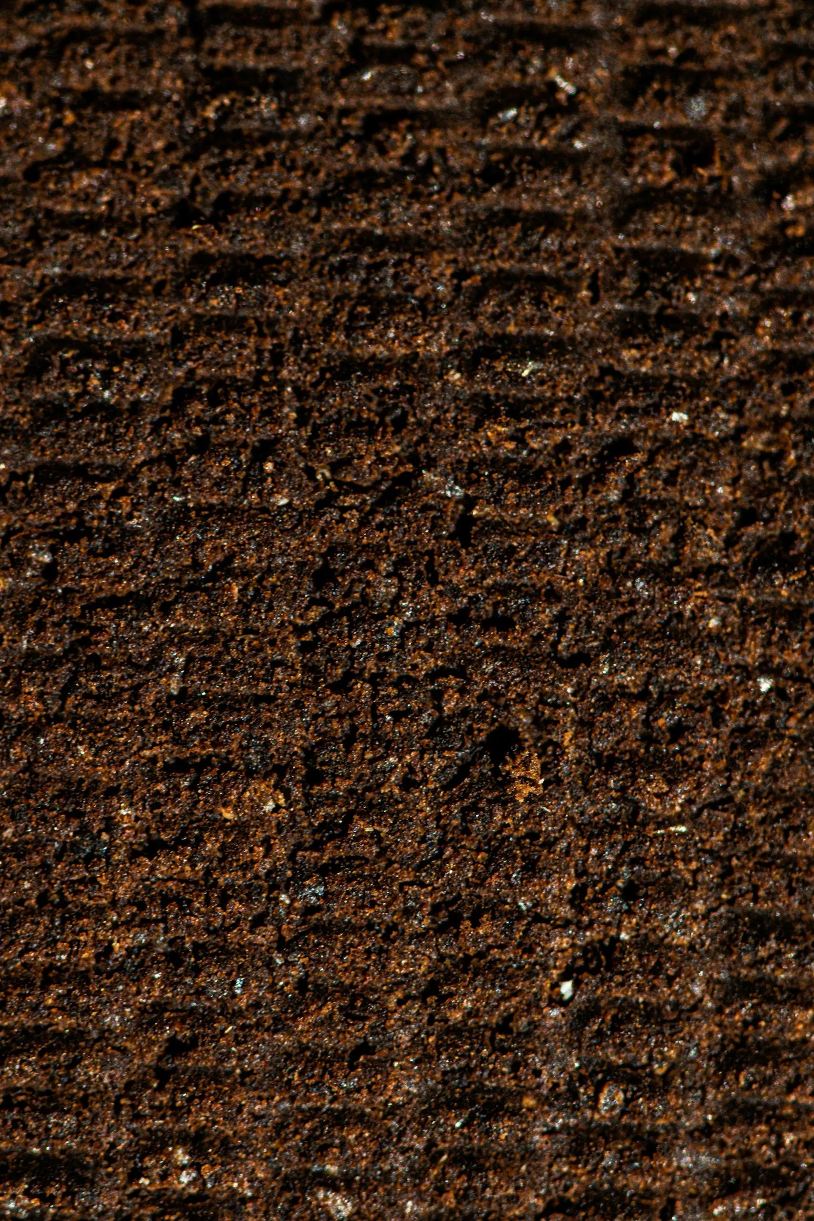 From Morning Brew to Clean Water: How Coffee Grounds Are Helping Solve a Global Problem