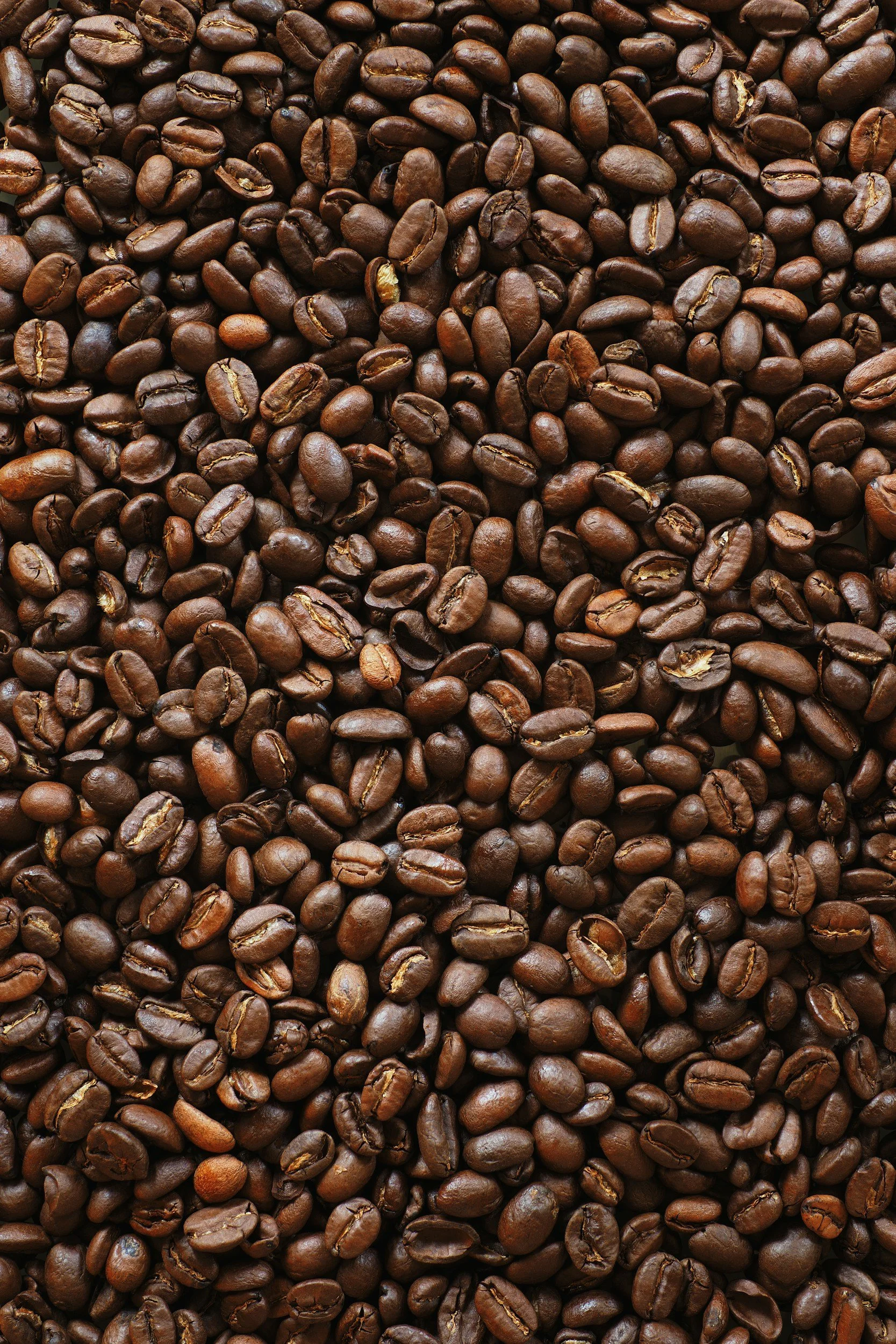 Mexican Coffee Is Having a Moment in Texas and Here’s Why That Matters More Than You Think