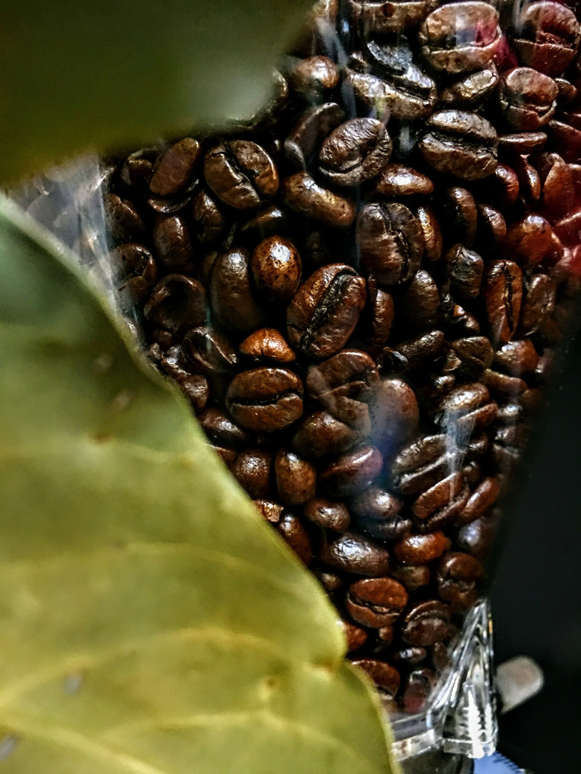 The One Thing Most People Forget After Buying Great Coffee