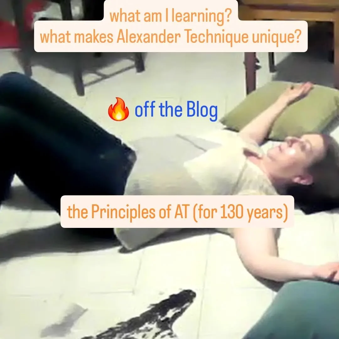 VISIT: https://www.nyalexandertechnique.com/blog/alexander-technique-principles
