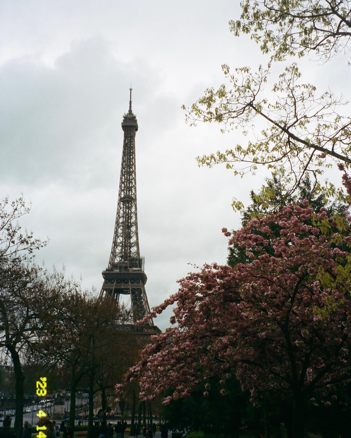 crashed jakes solo trip to paris last month