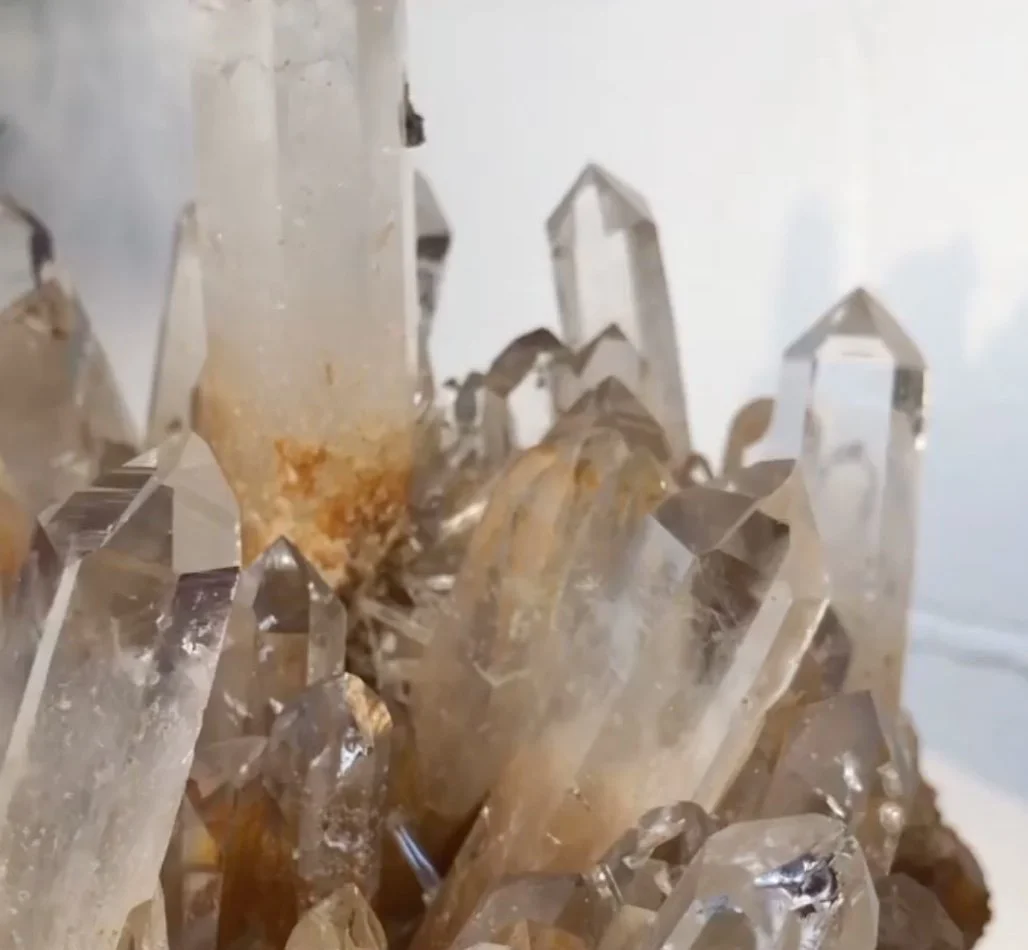 Image 6-7-23 at 1.27 PM.jpeg