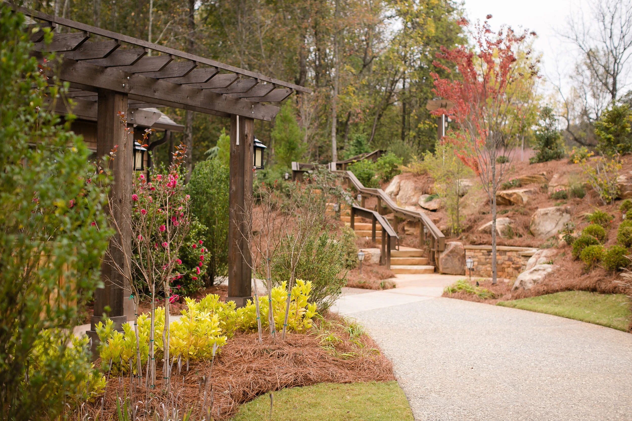 Gallery — Hoof Haven Rescue