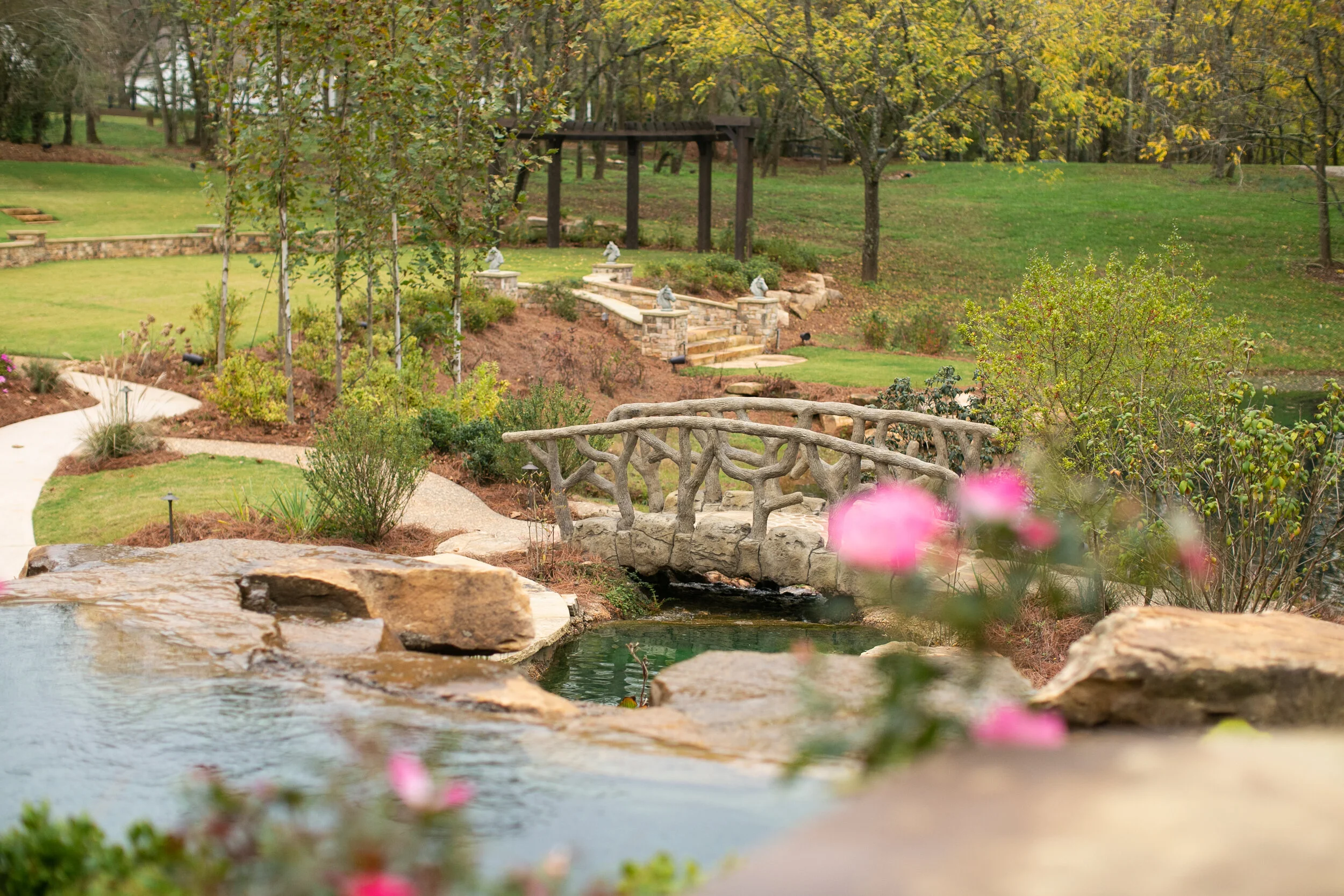 Gallery — Hoof Haven Rescue