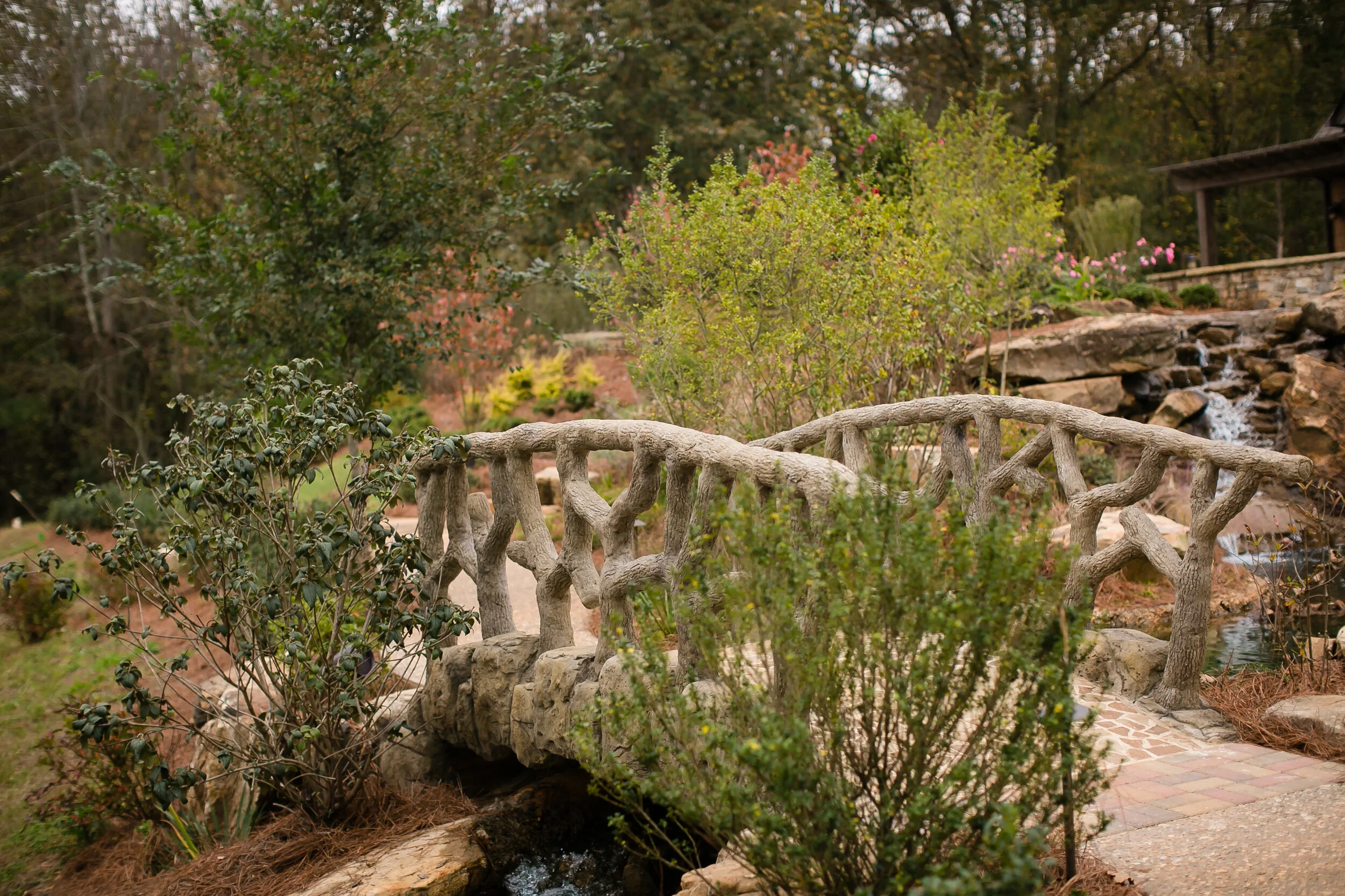 Gallery — Hoof Haven Rescue