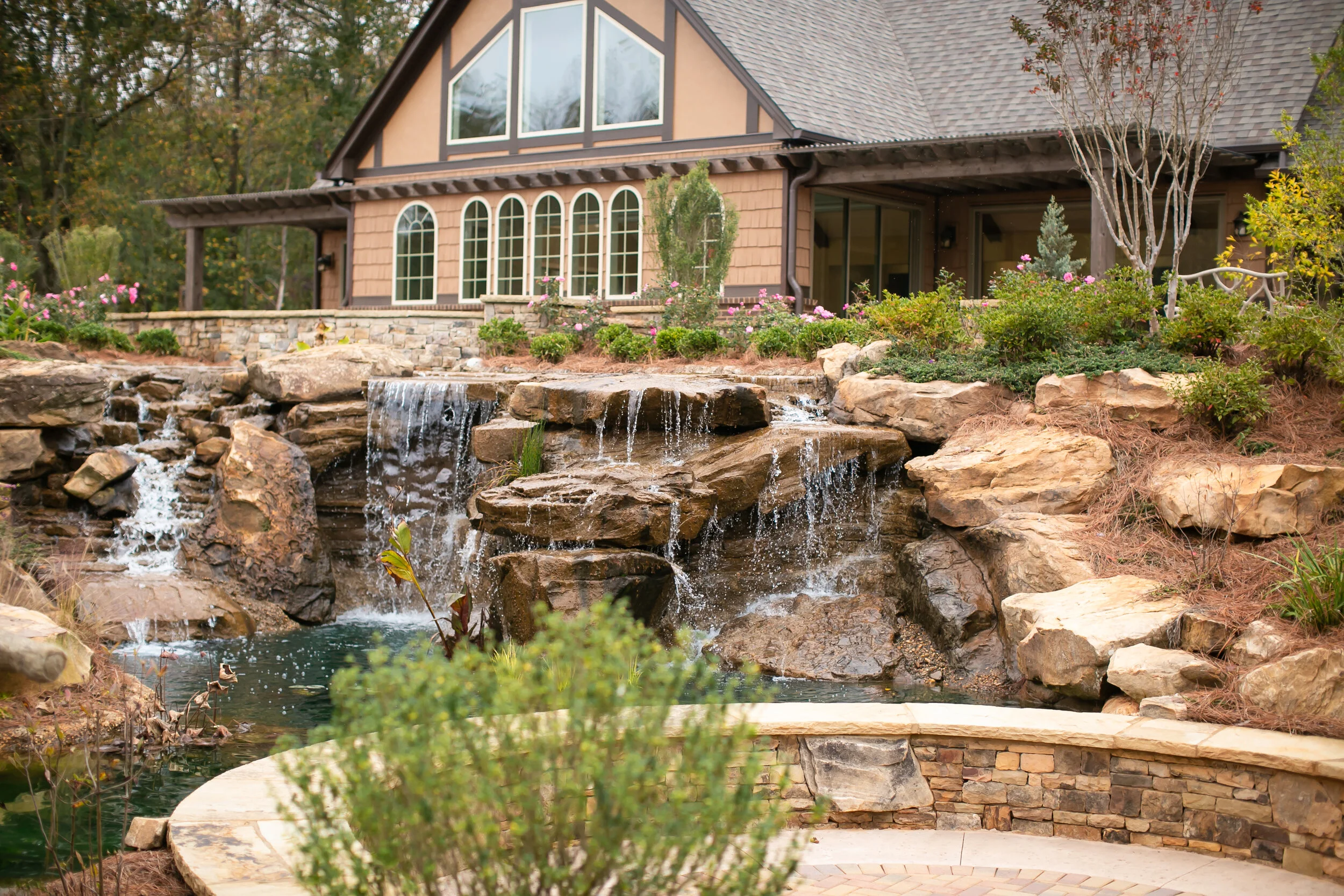 Gallery — Hoof Haven Rescue