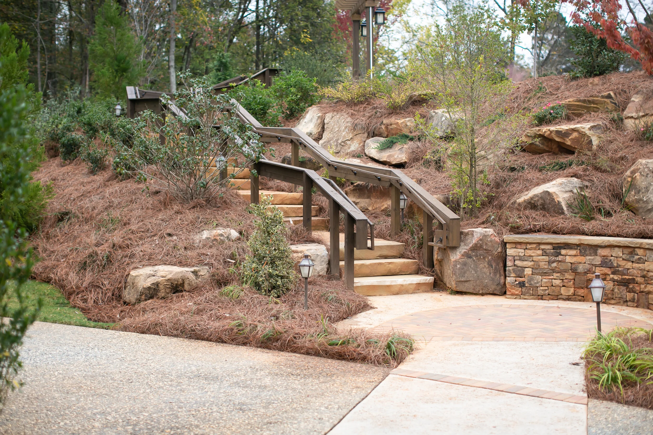 Gallery — Hoof Haven Rescue