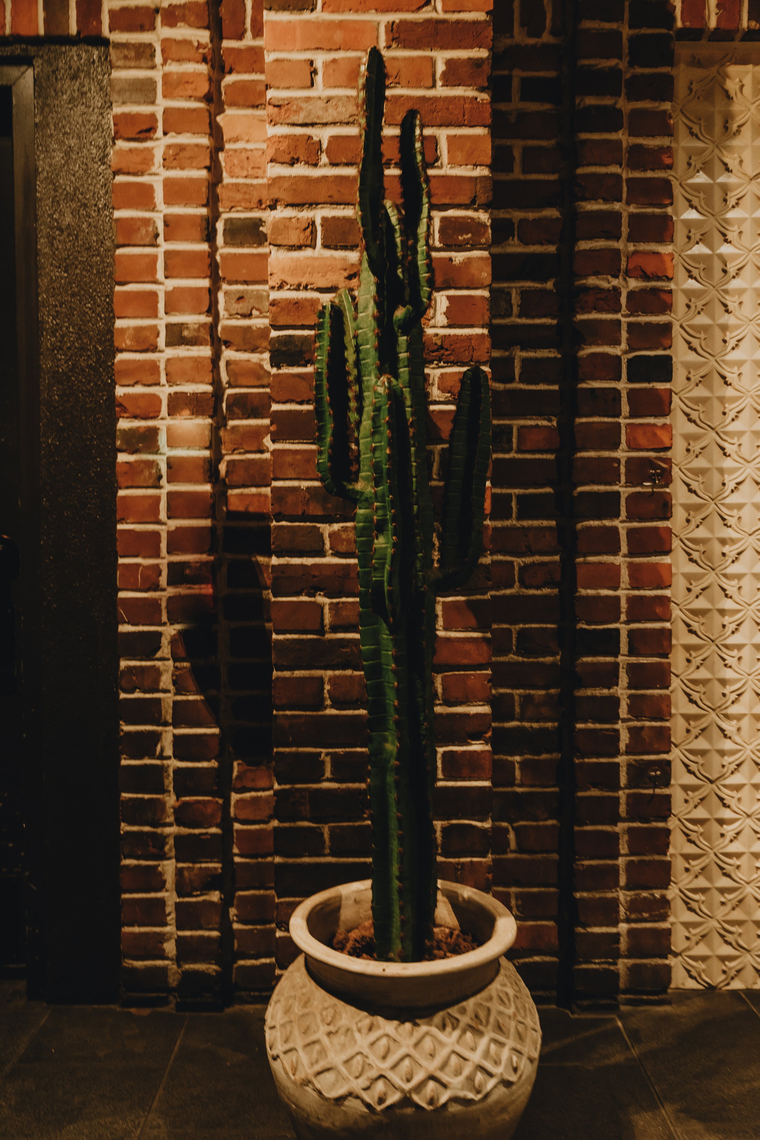 DSC08782.jpg