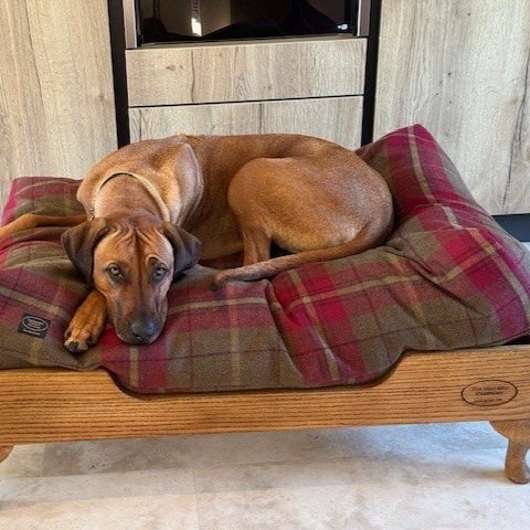 elevated+oak+dog+bed+handmade.jpg