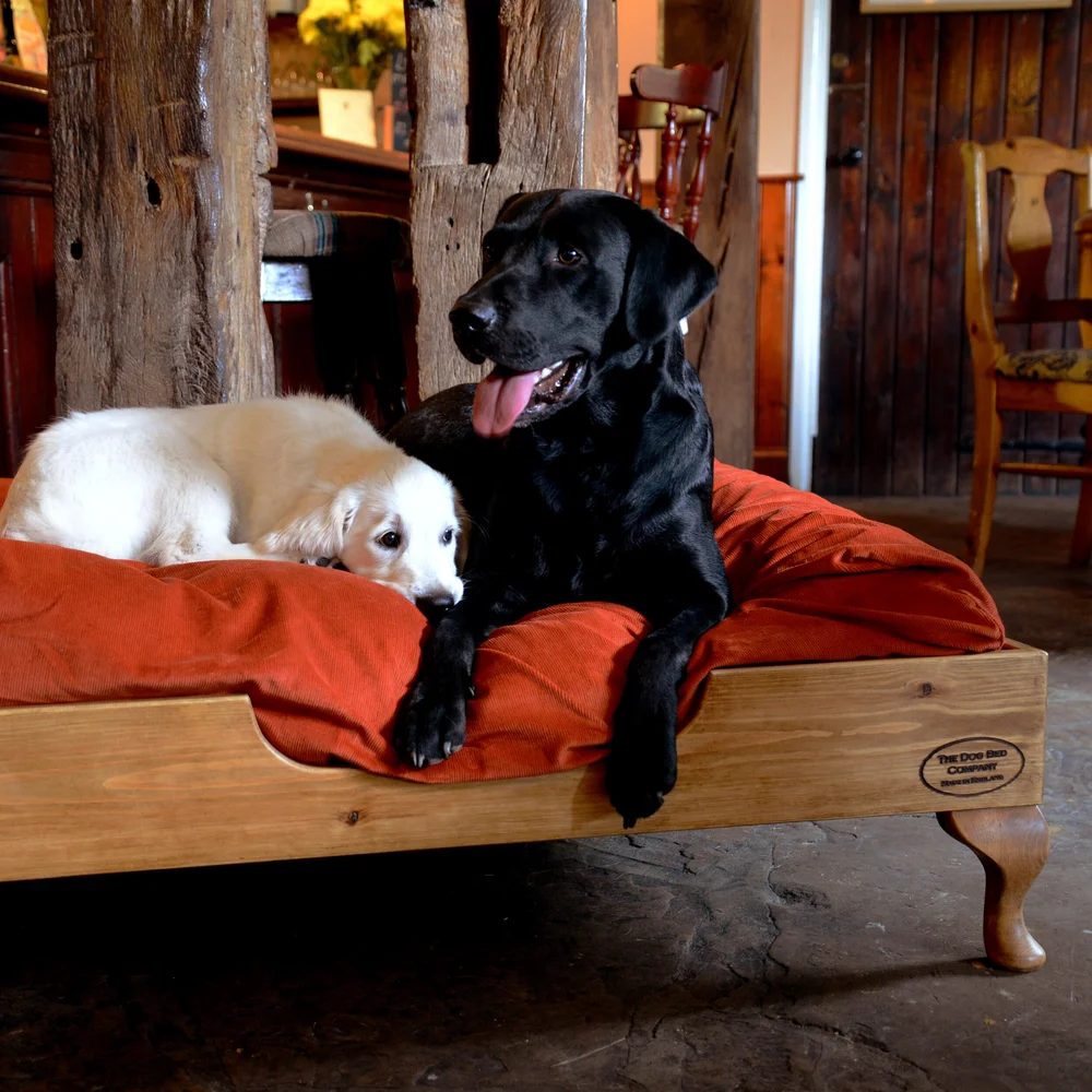 Raised Pine Dog Bed — The Dog Bed Company